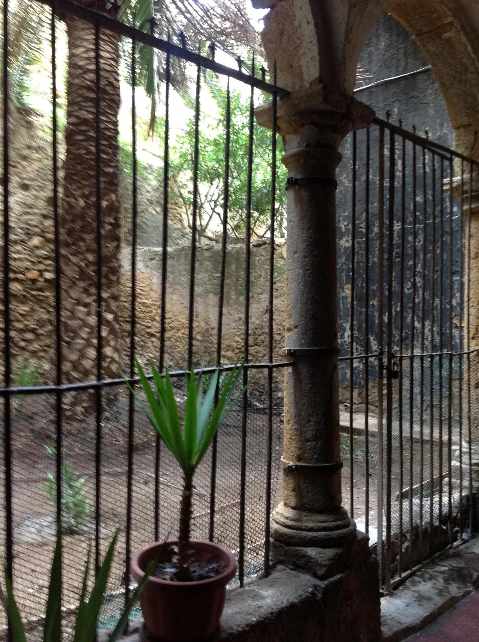 Garden in Palazzo Aprile