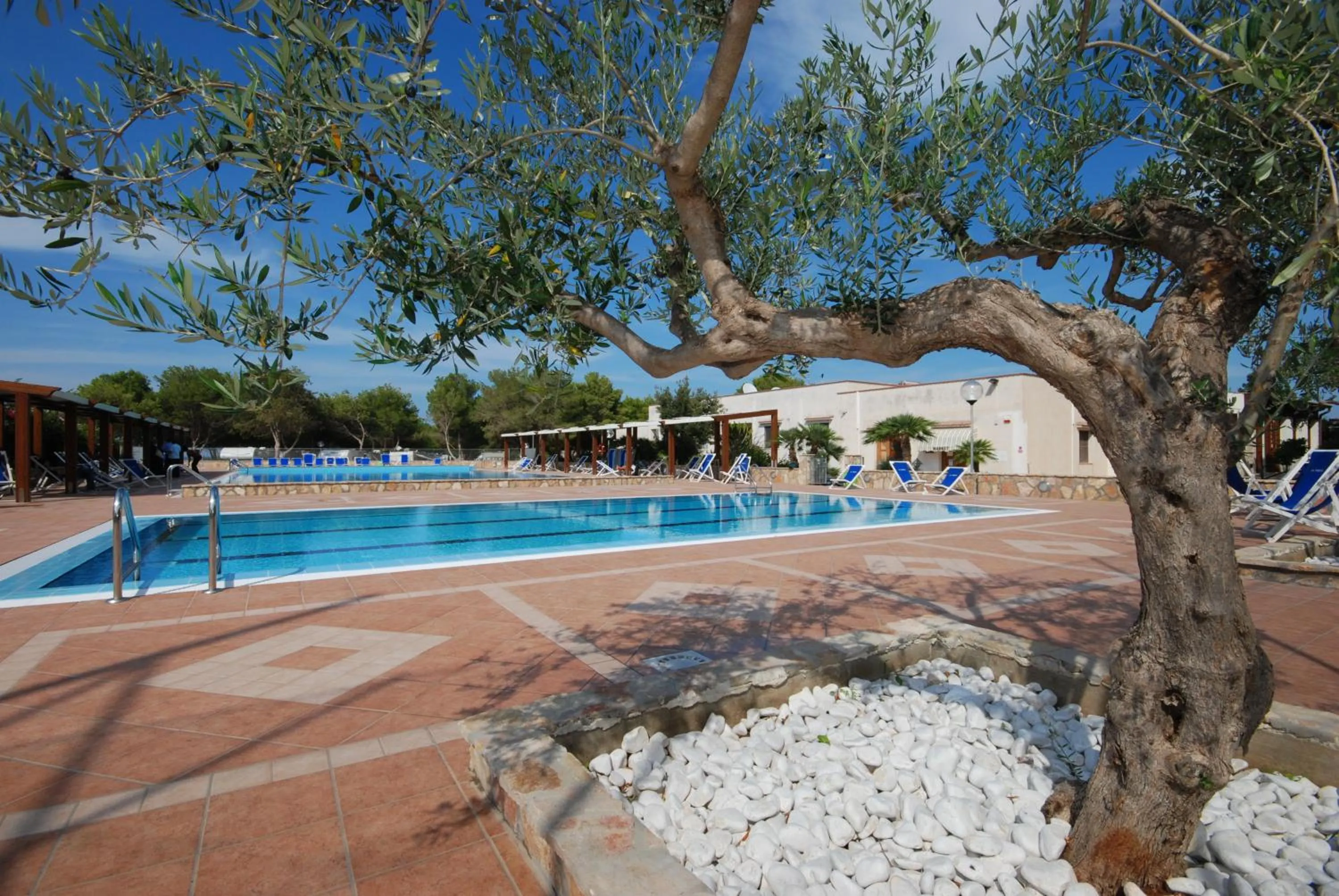 Swimming pool in Camping Village La Pineta
