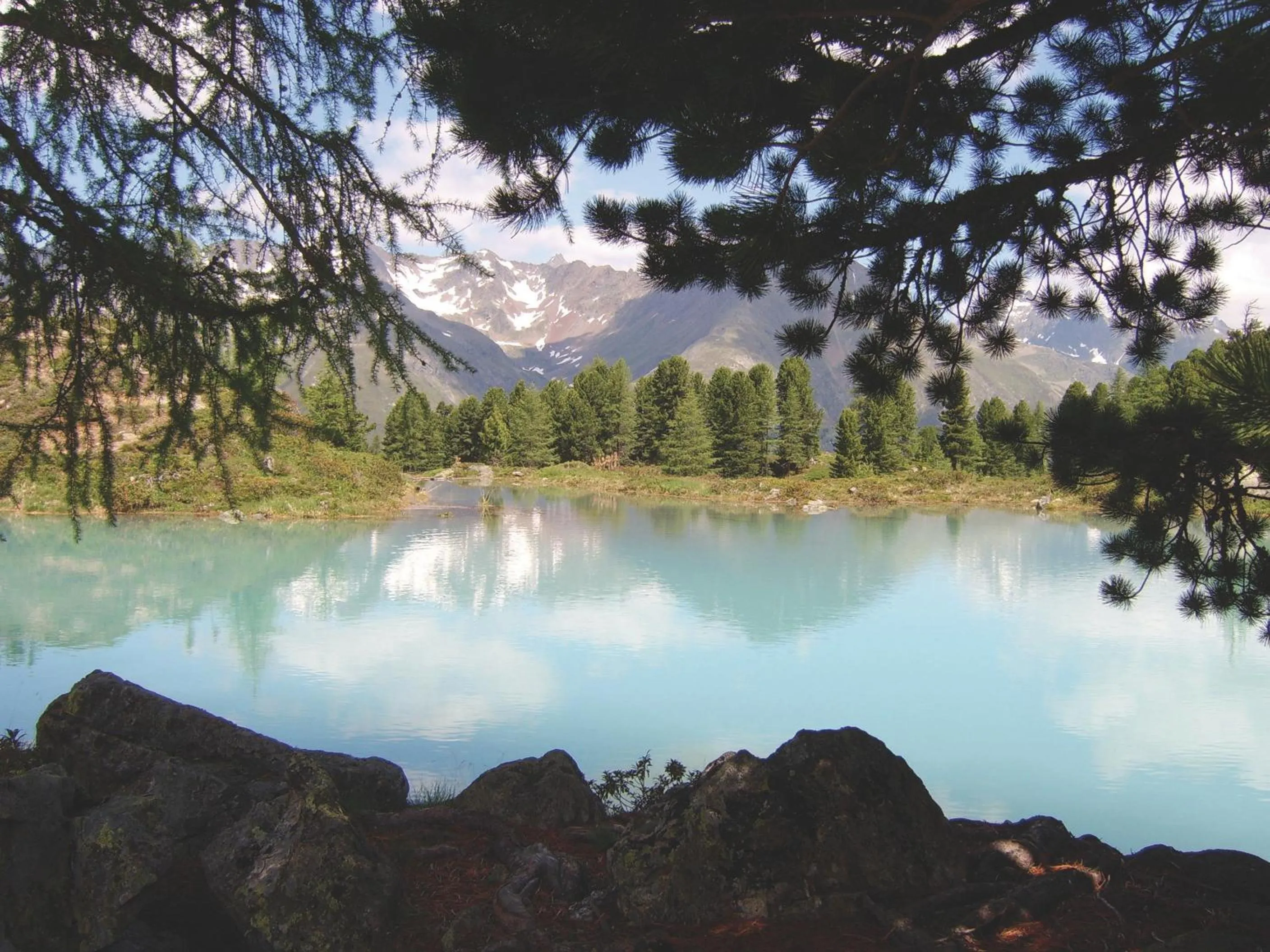 Area and facilities in Hotel Lenz