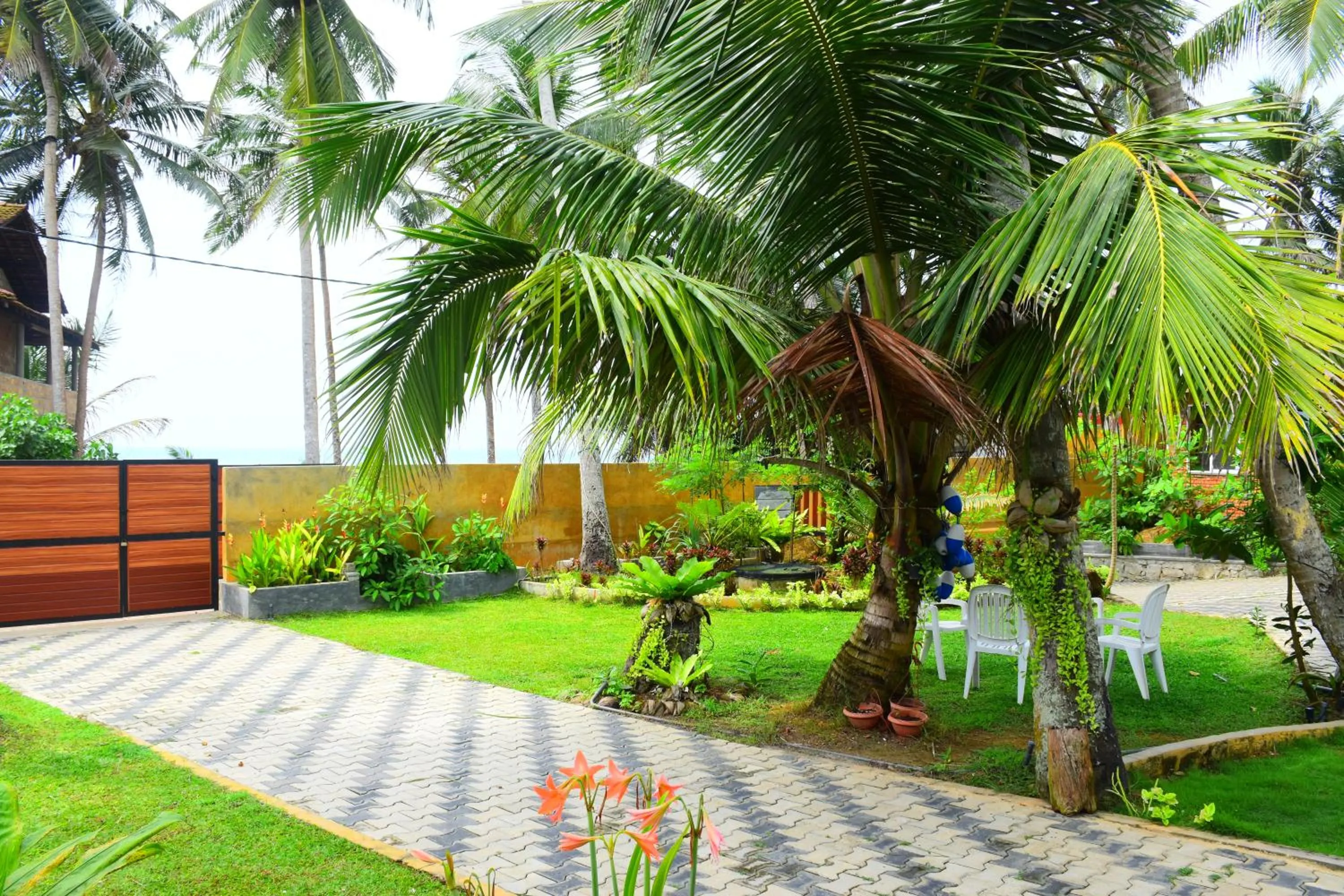 Garden view in Ocean Caves, Balapitiya
