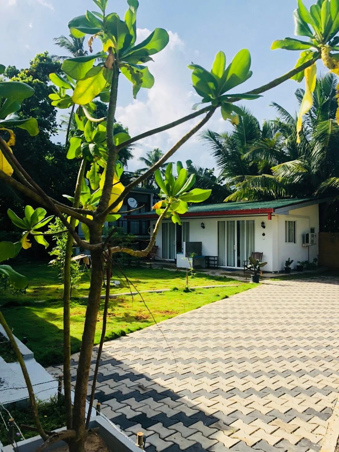 Garden view in Ocean Caves, Balapitiya