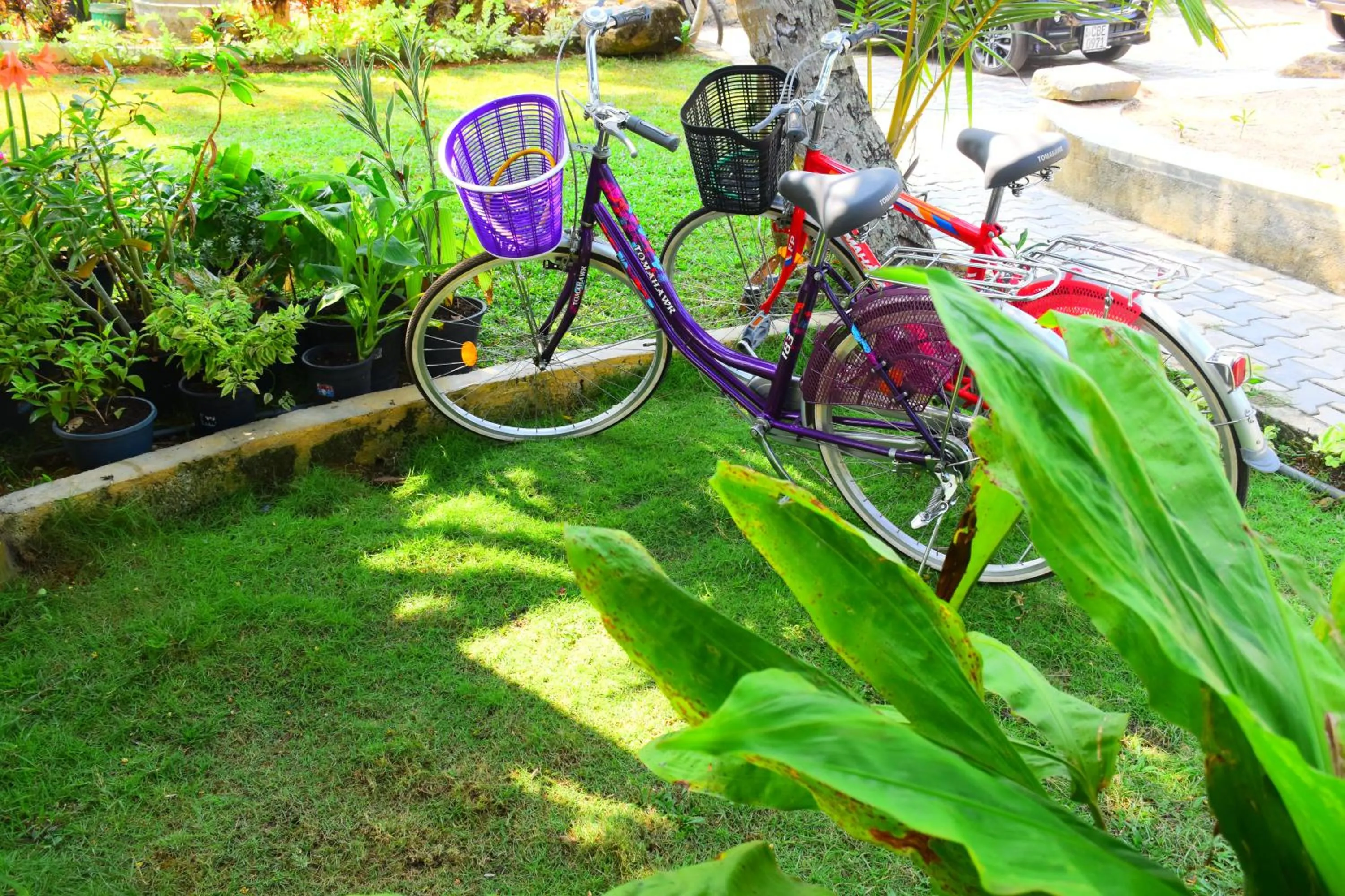 Area and facilities in Ocean Caves, Balapitiya