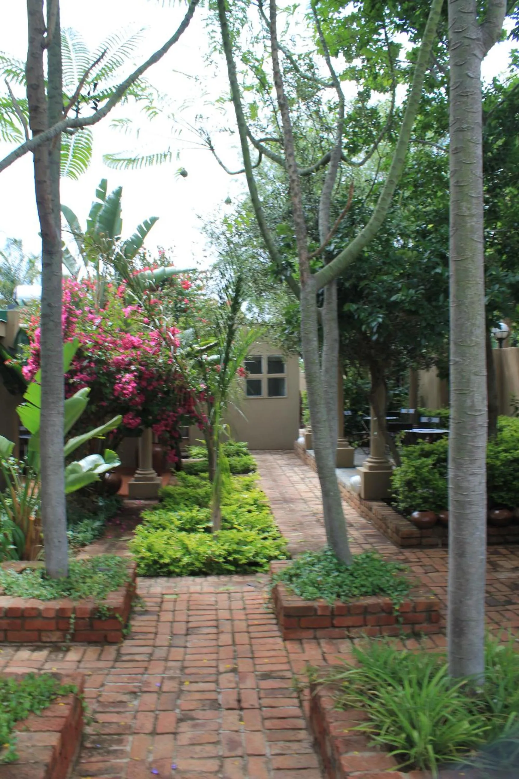 Garden in African Roots Guest House