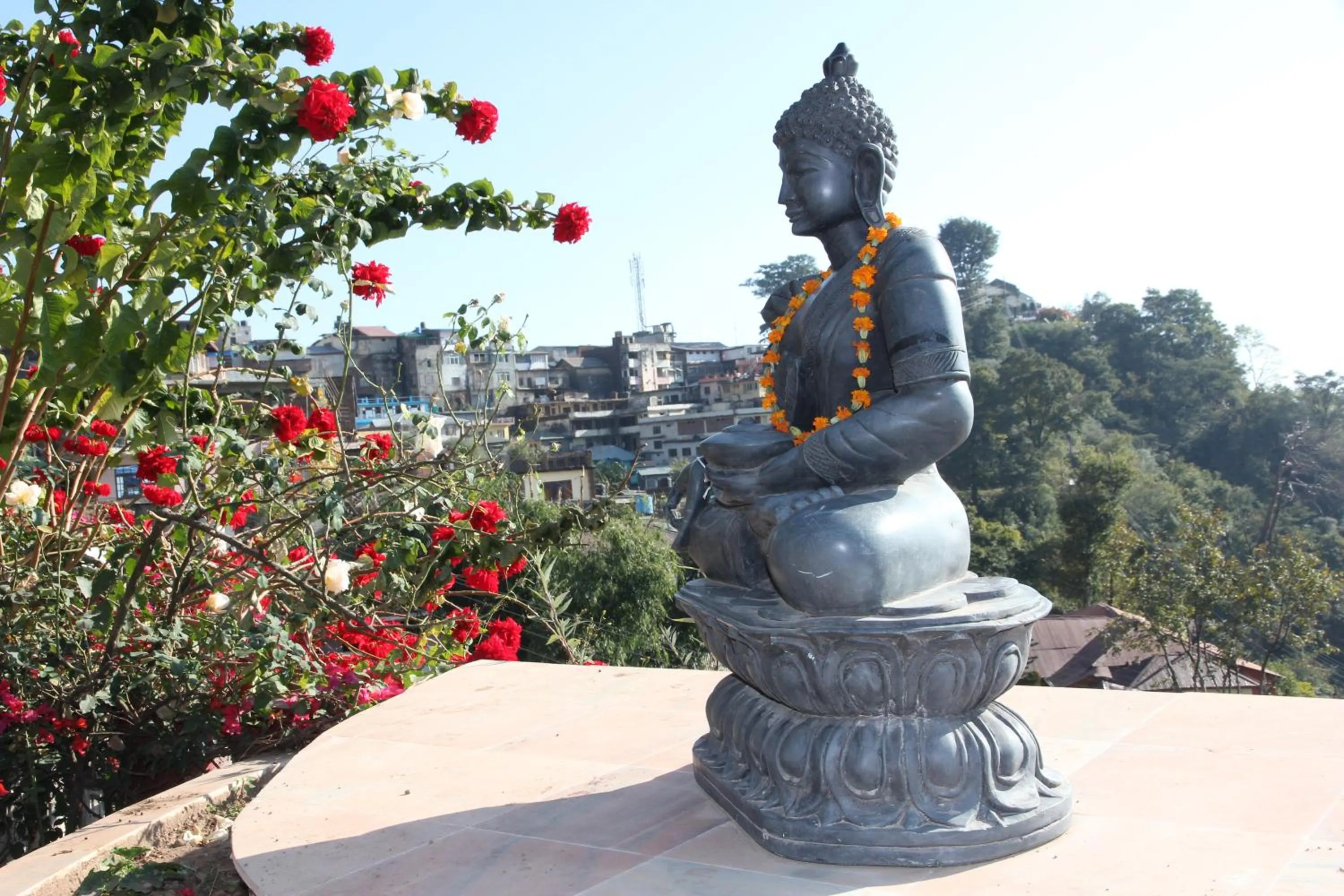 View (from property/room) in WelcomHeritage Grace Hotel