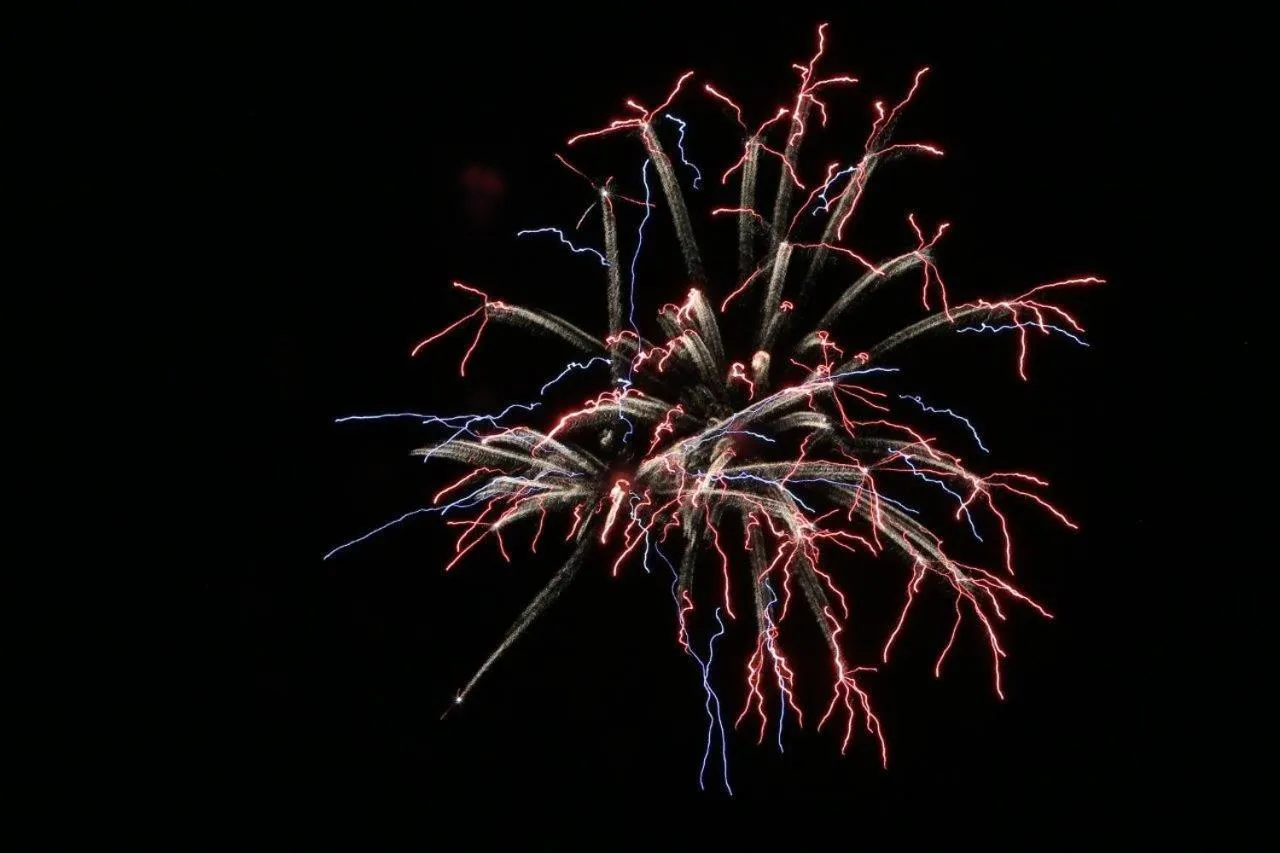 Beach in Hotel Al Mare