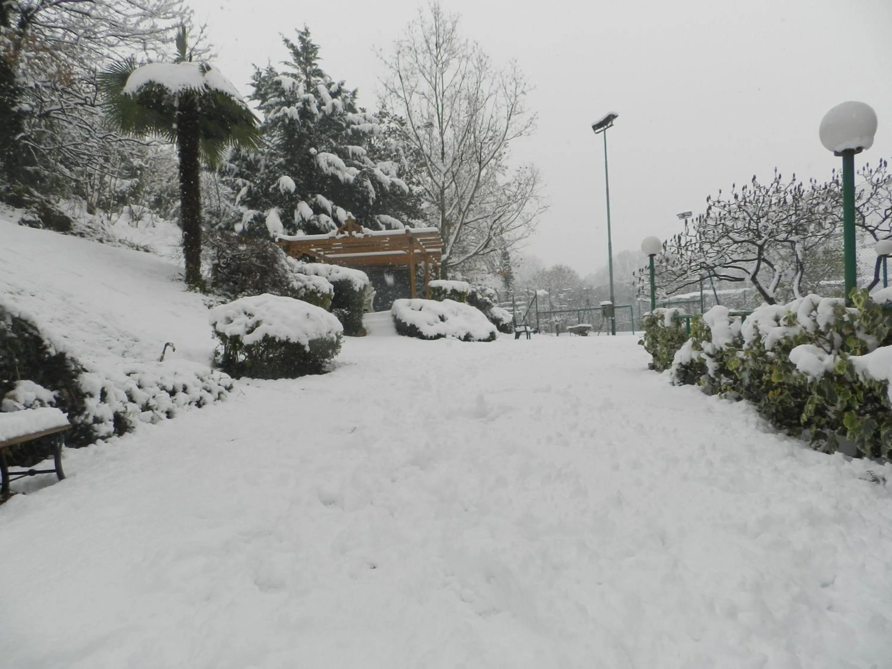 Garden in Hotel Fossati