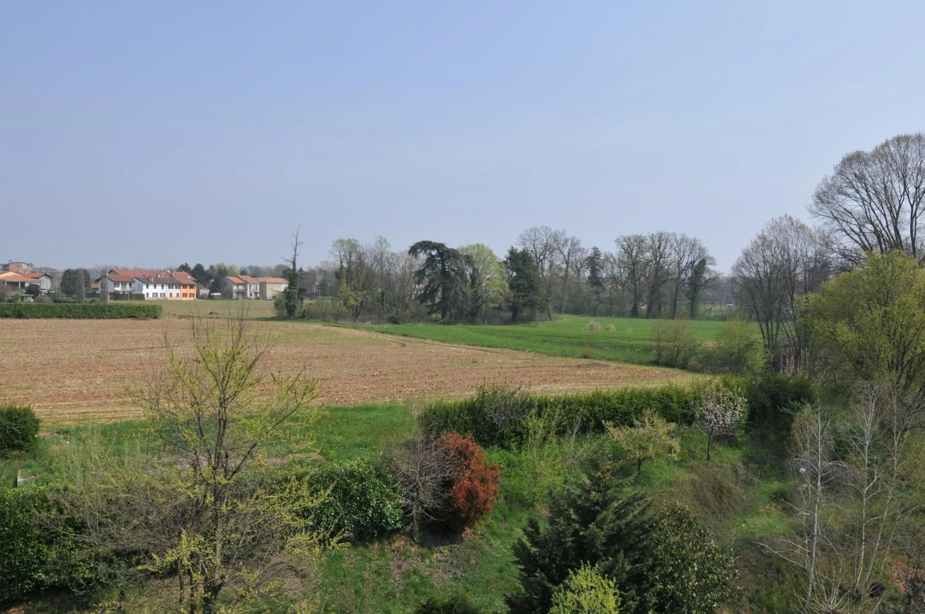 Garden in Hotel Fossati