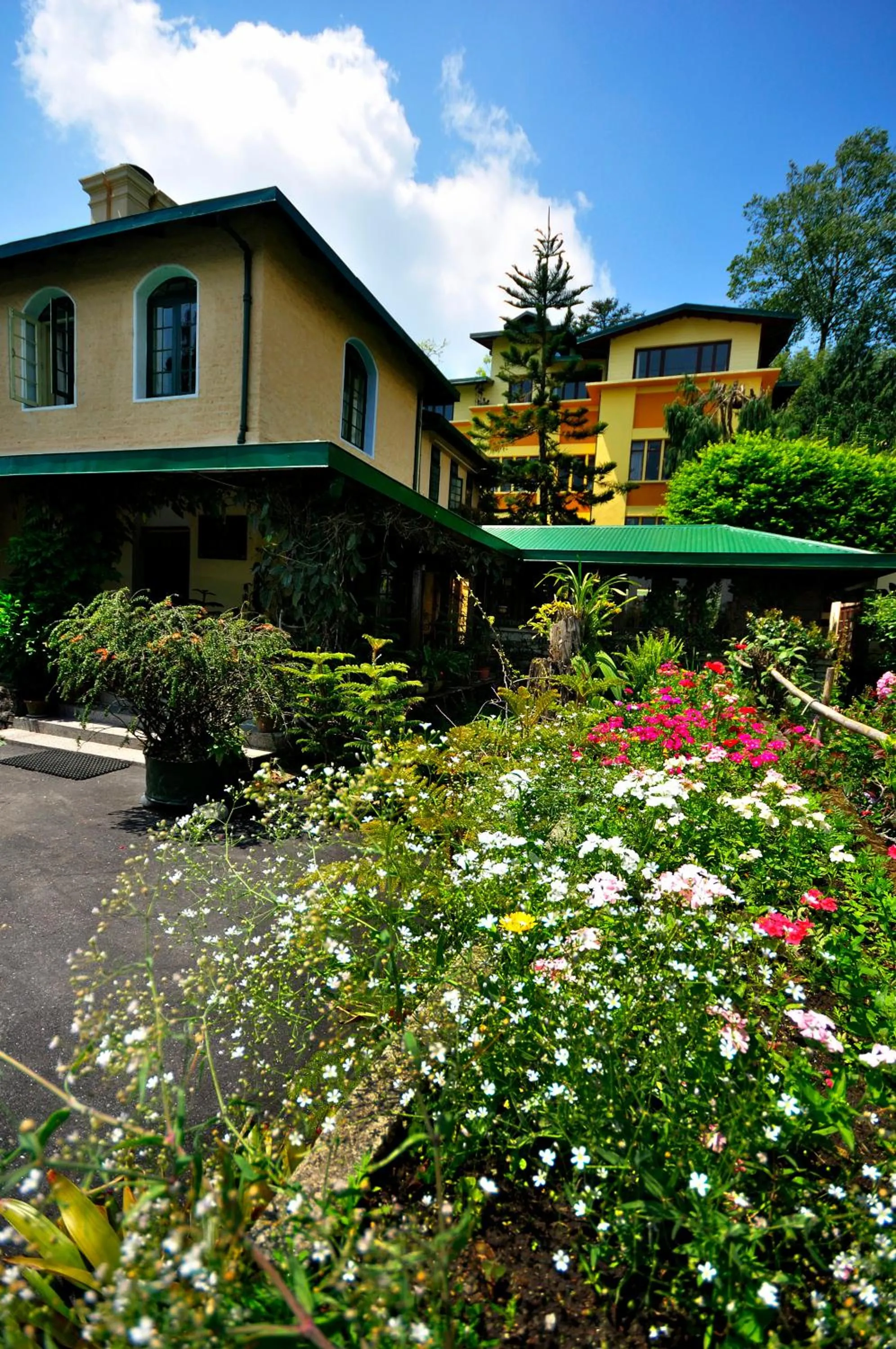 Property building in Sterling Park Kalimpong