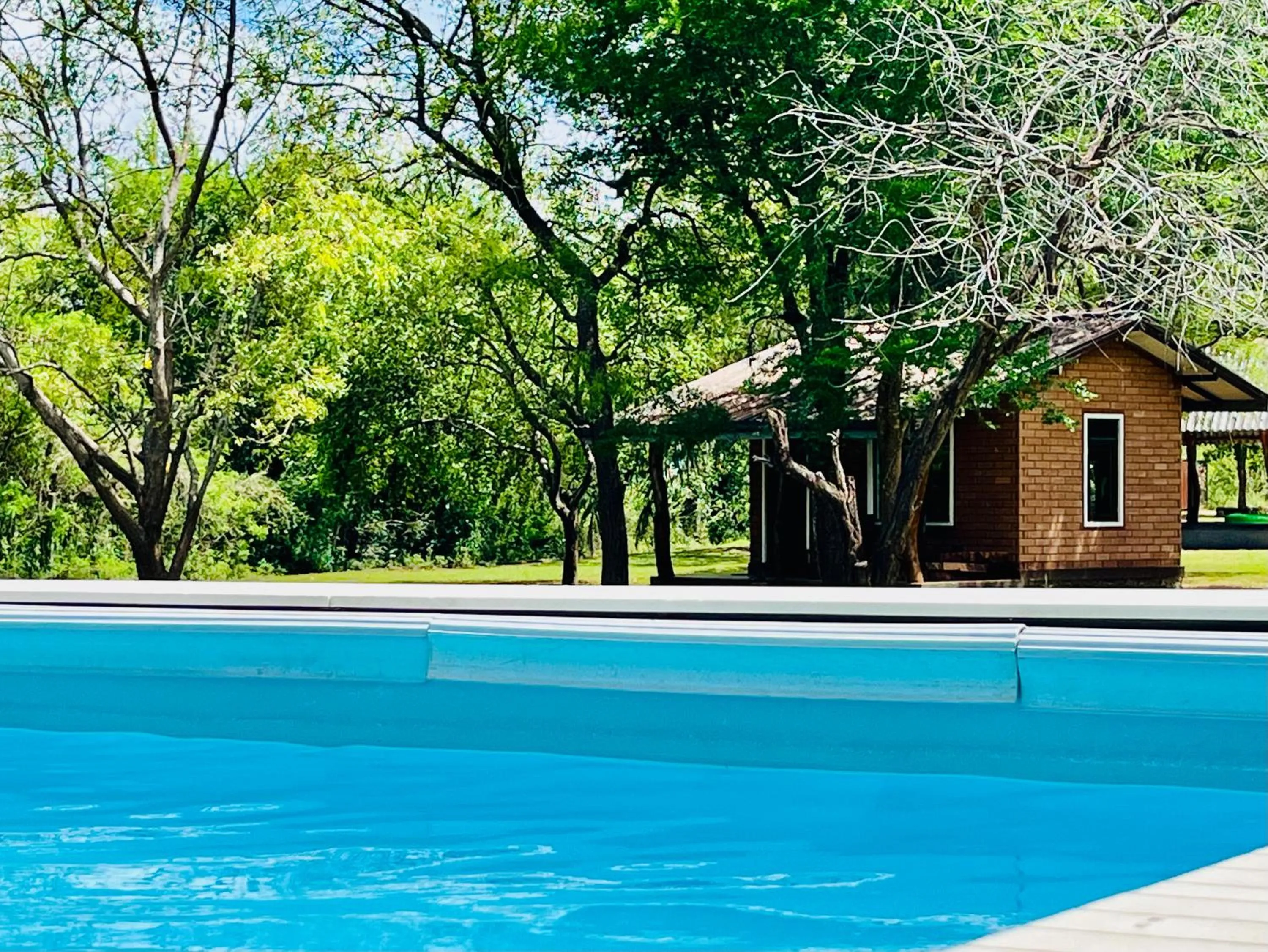 Pool view in Funky Leopard Safari Lodge Bordering Yala National Park