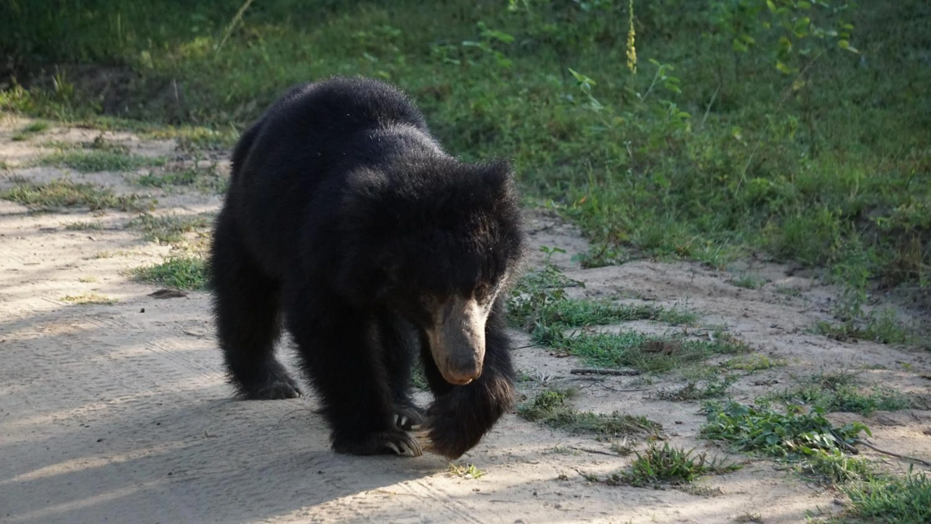 Activities in Funky Leopard Safari Lodge Bordering Yala National Park