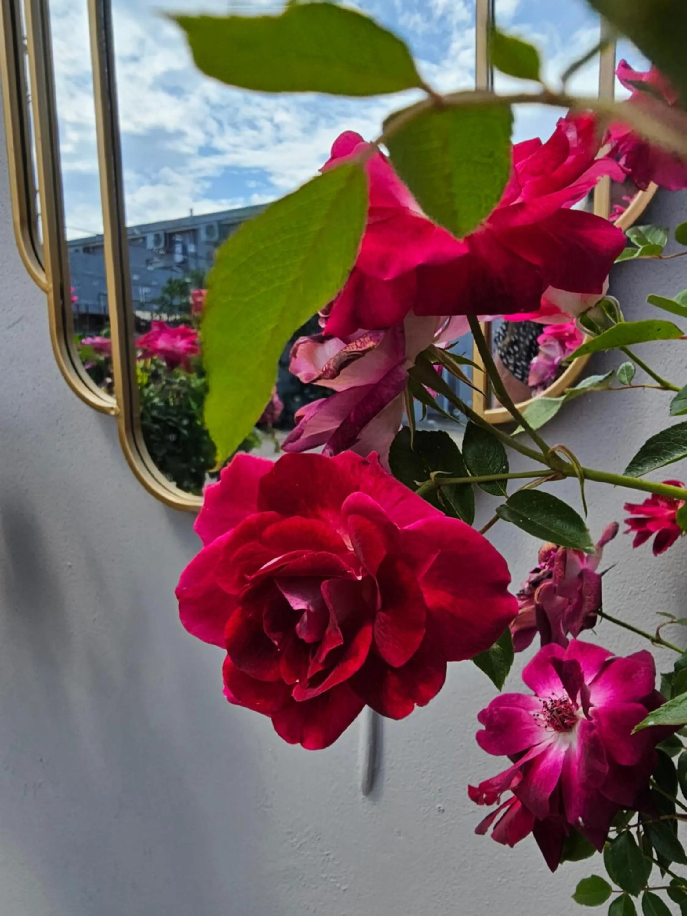 Garden in Lion Lodge