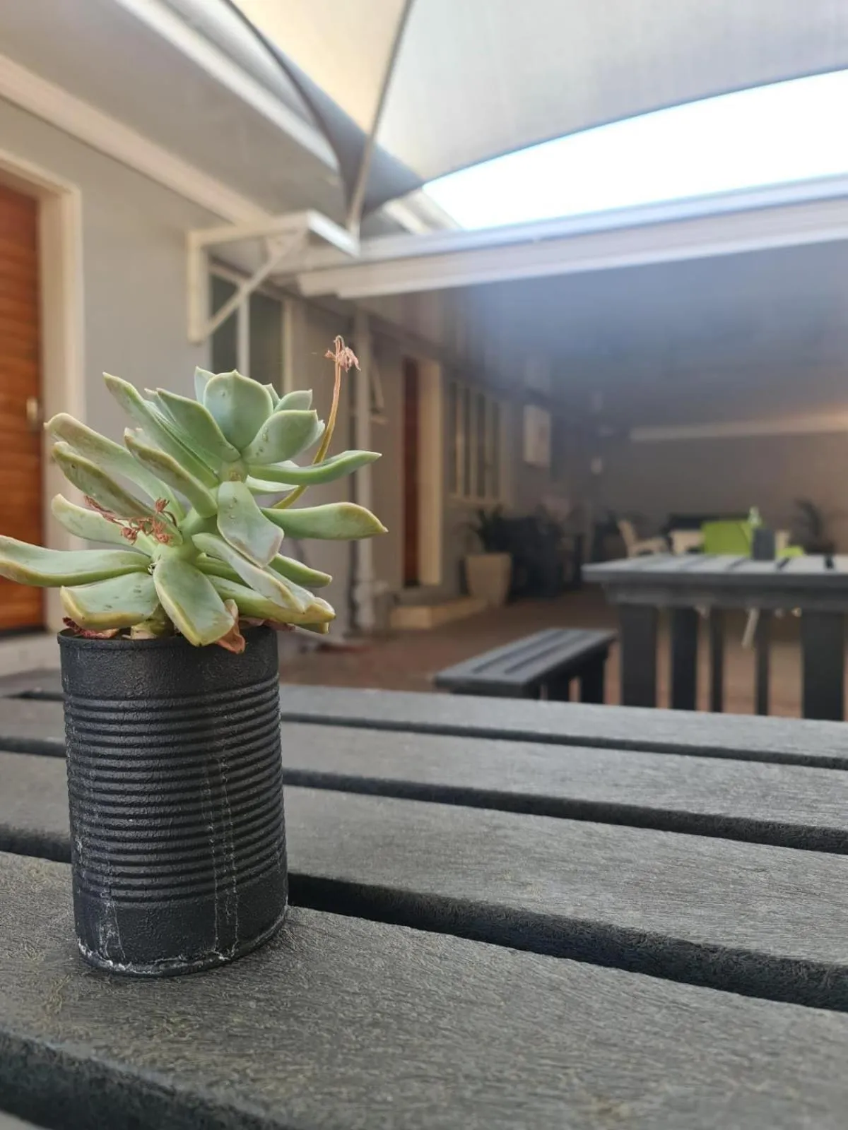 Property building in Lion Lodge