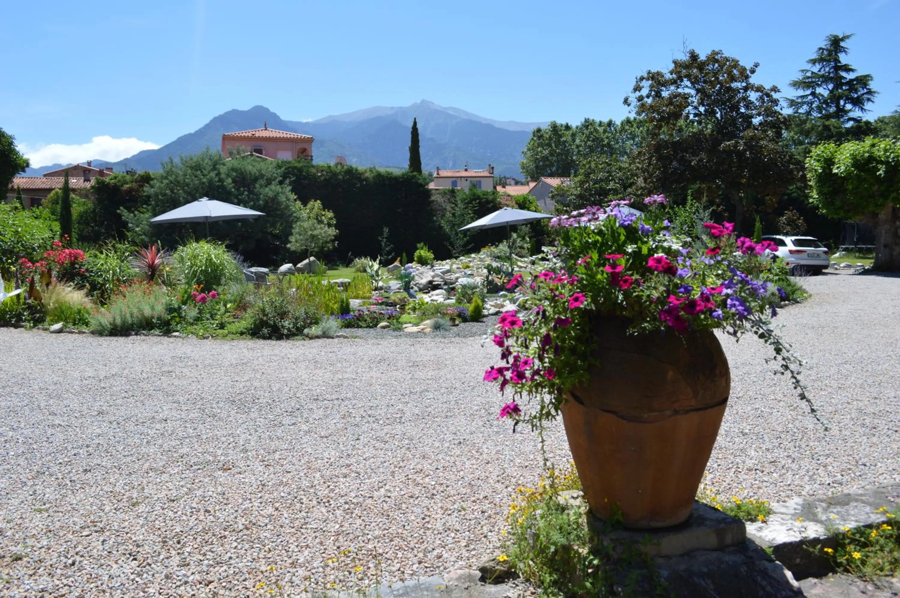 Garden in Villa Lafabregue