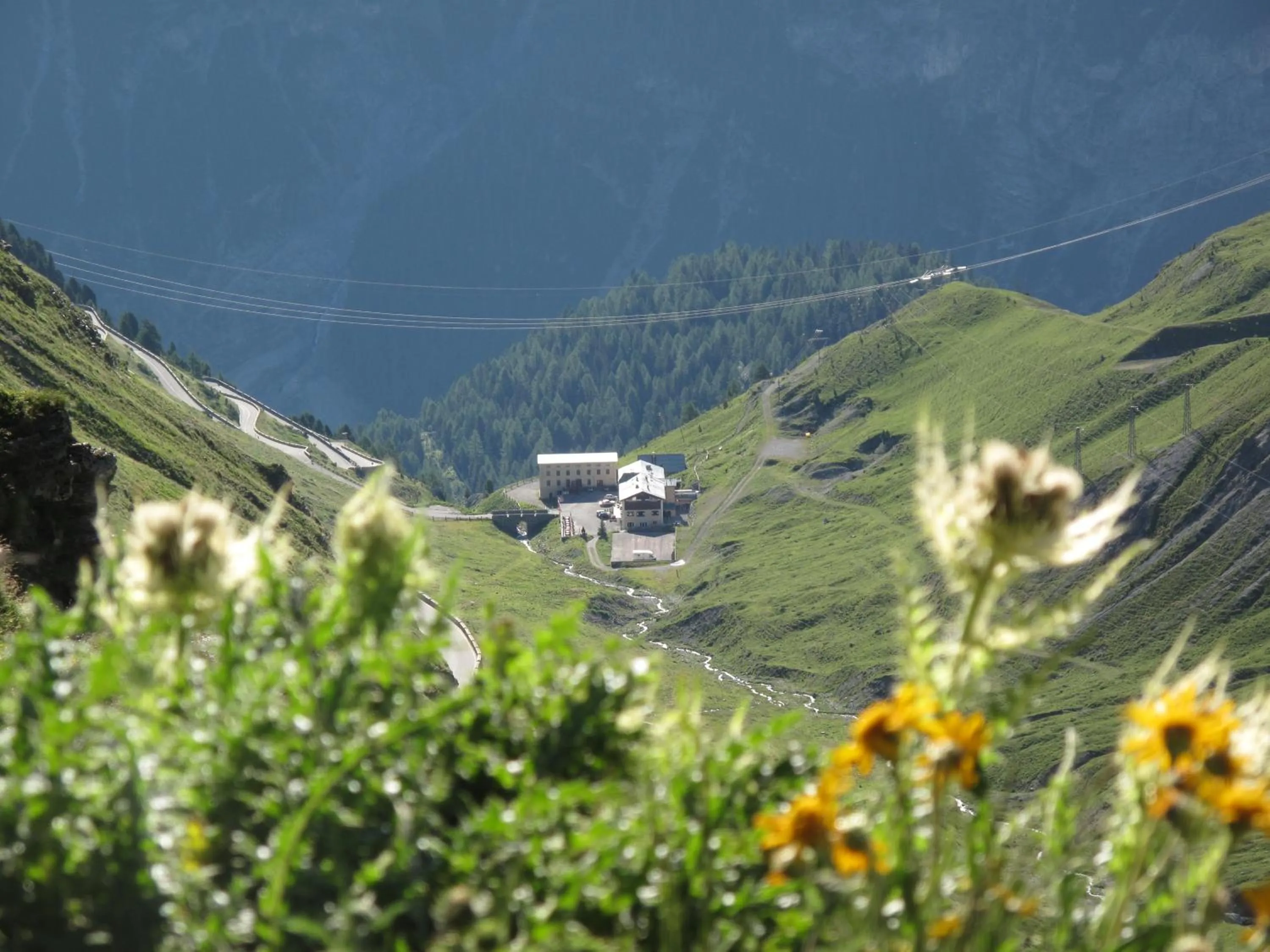 On site in Berghotel Franzenshöhe
