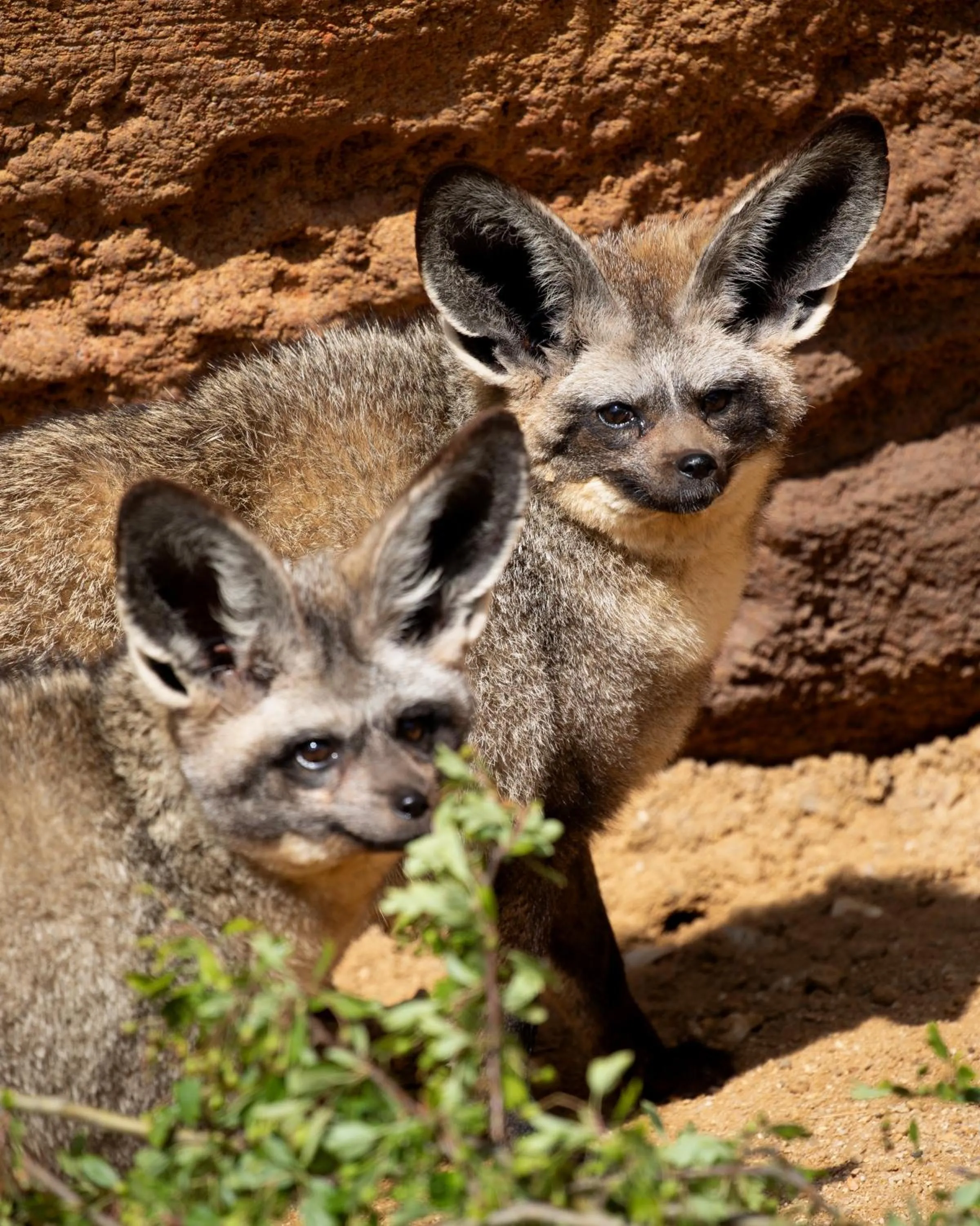 Relais Touraine Sologne