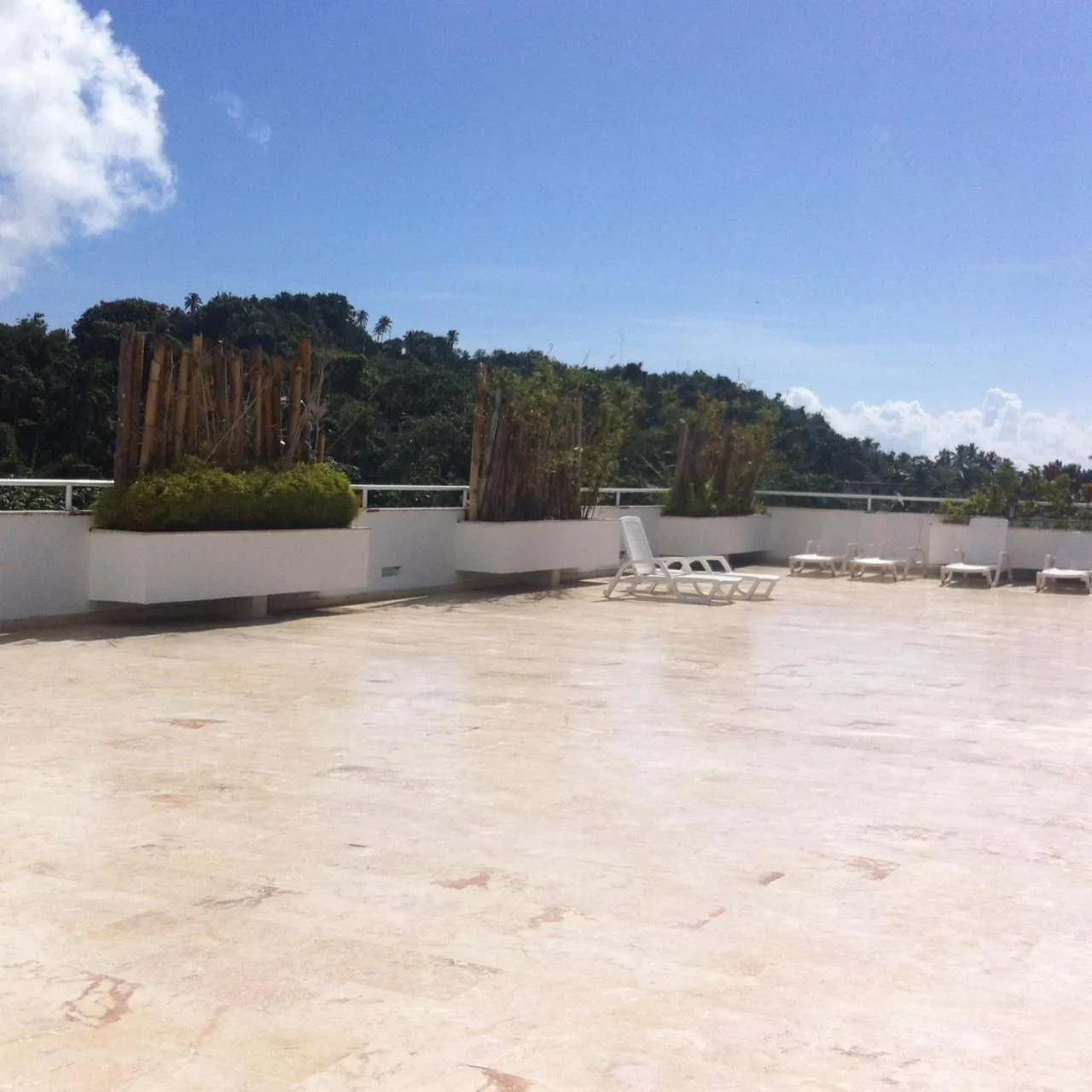 Balcony/Terrace in Figaro Hotel Samana