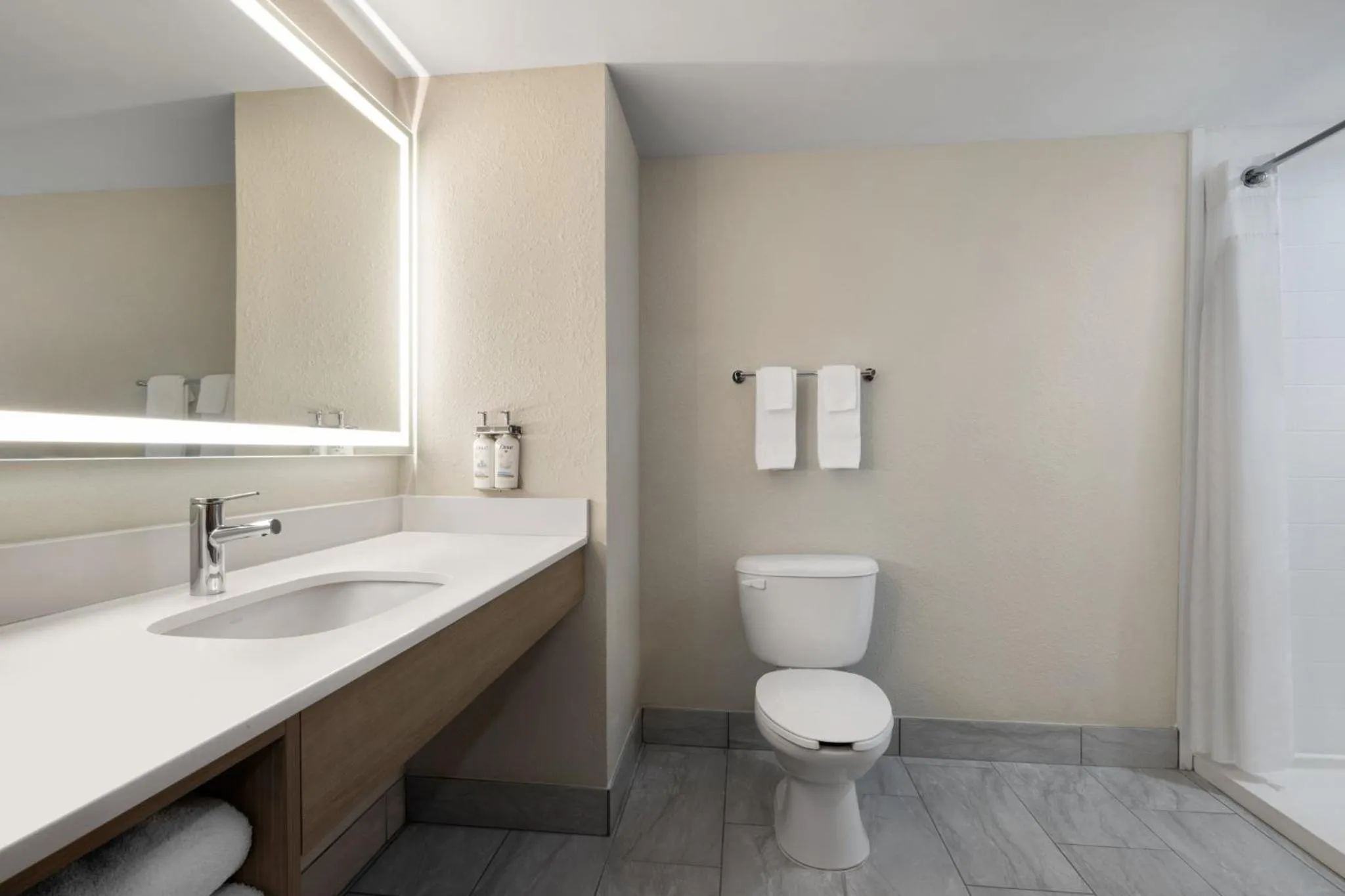 Bathroom in Holiday Inn Express & Suites Sebring by IHG