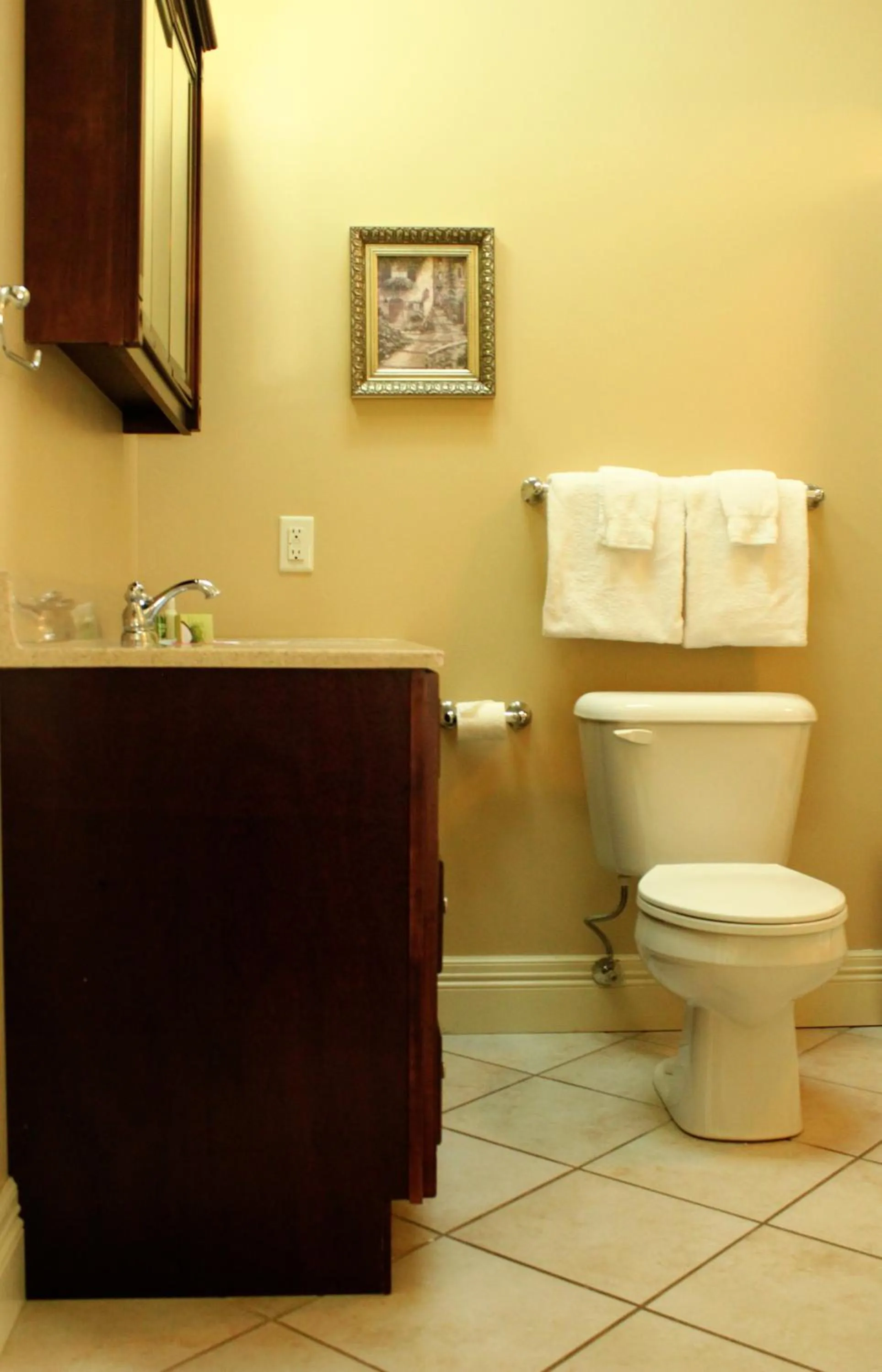 Bathroom in Chipman Hill Suites - Union Street
