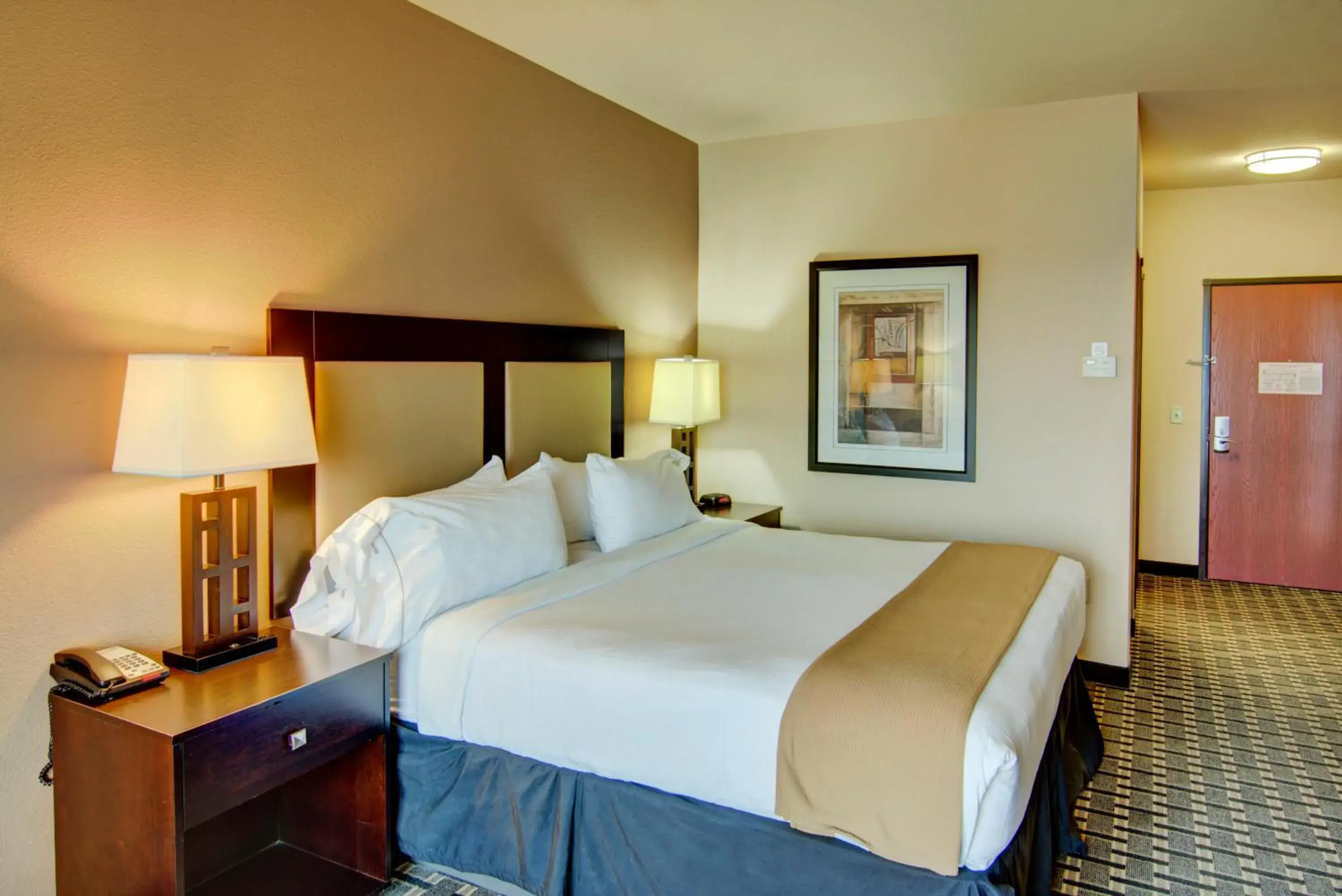 Standard King Room in Holiday Inn Express Hotel & Suites Paris by IHG Standard King Room in Holiday Inn Express Hotel & Suites Paris by IHG