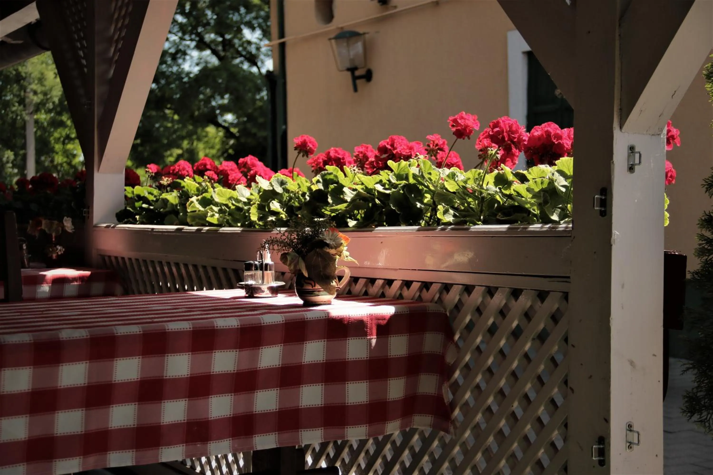 Garden in Halász Airport Panzio