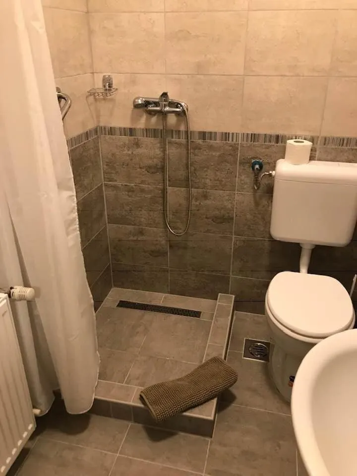 Shower in Halász Airport Panzio