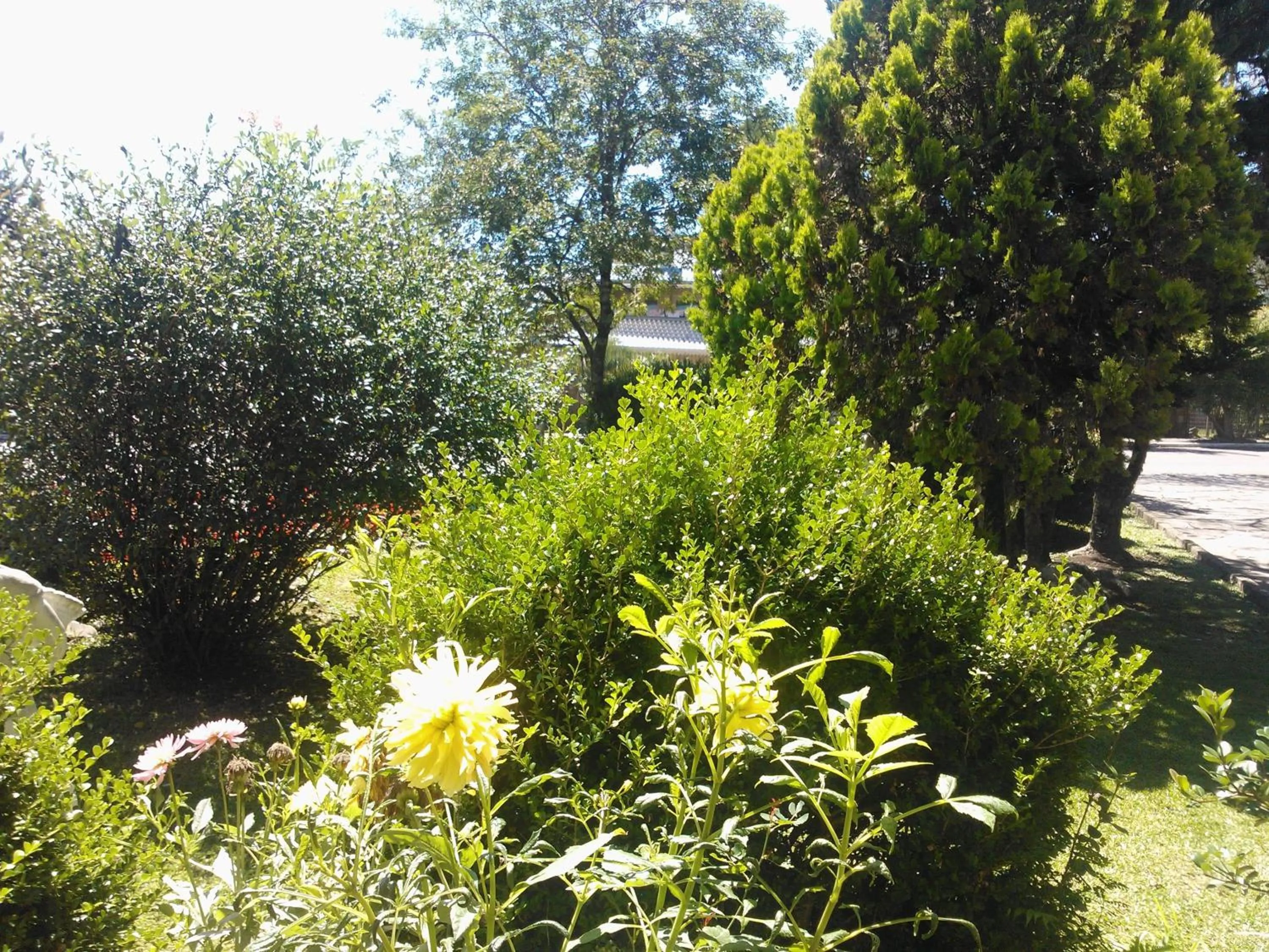 Decorative detail in Hotel Pousada das Flores