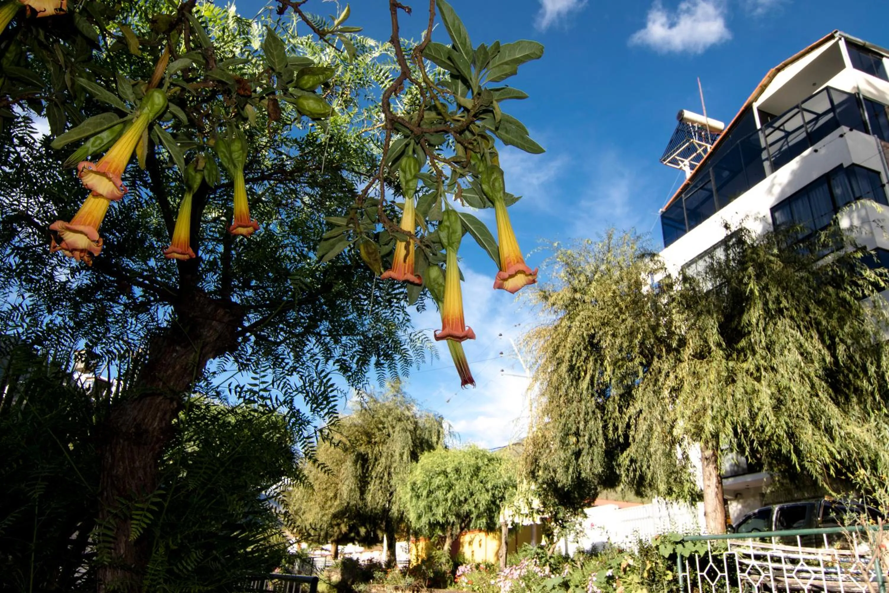 Facade/entrance in Hotel California Calca