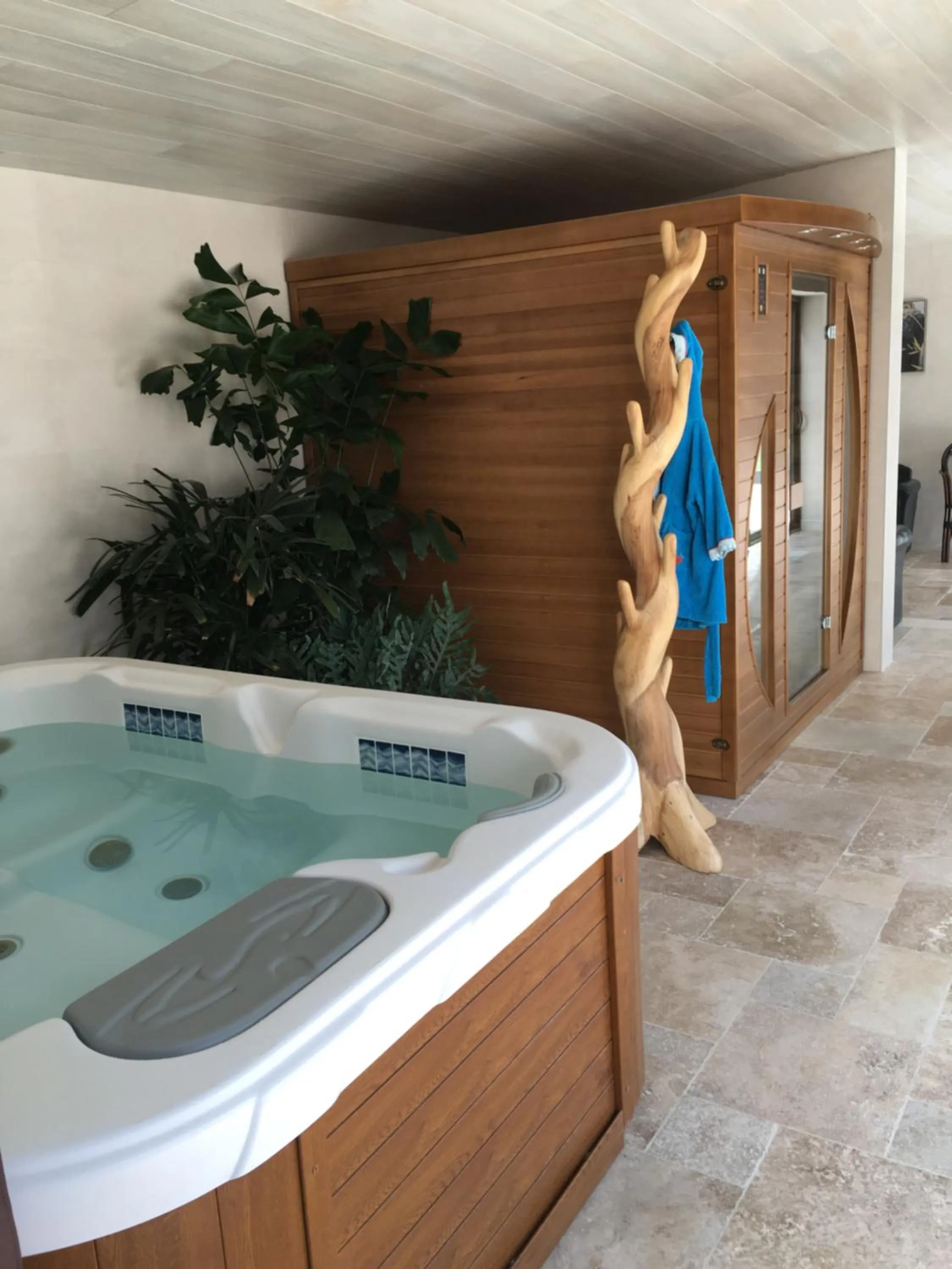 Spa and wellness centre/facilities in Demeure des Pothières