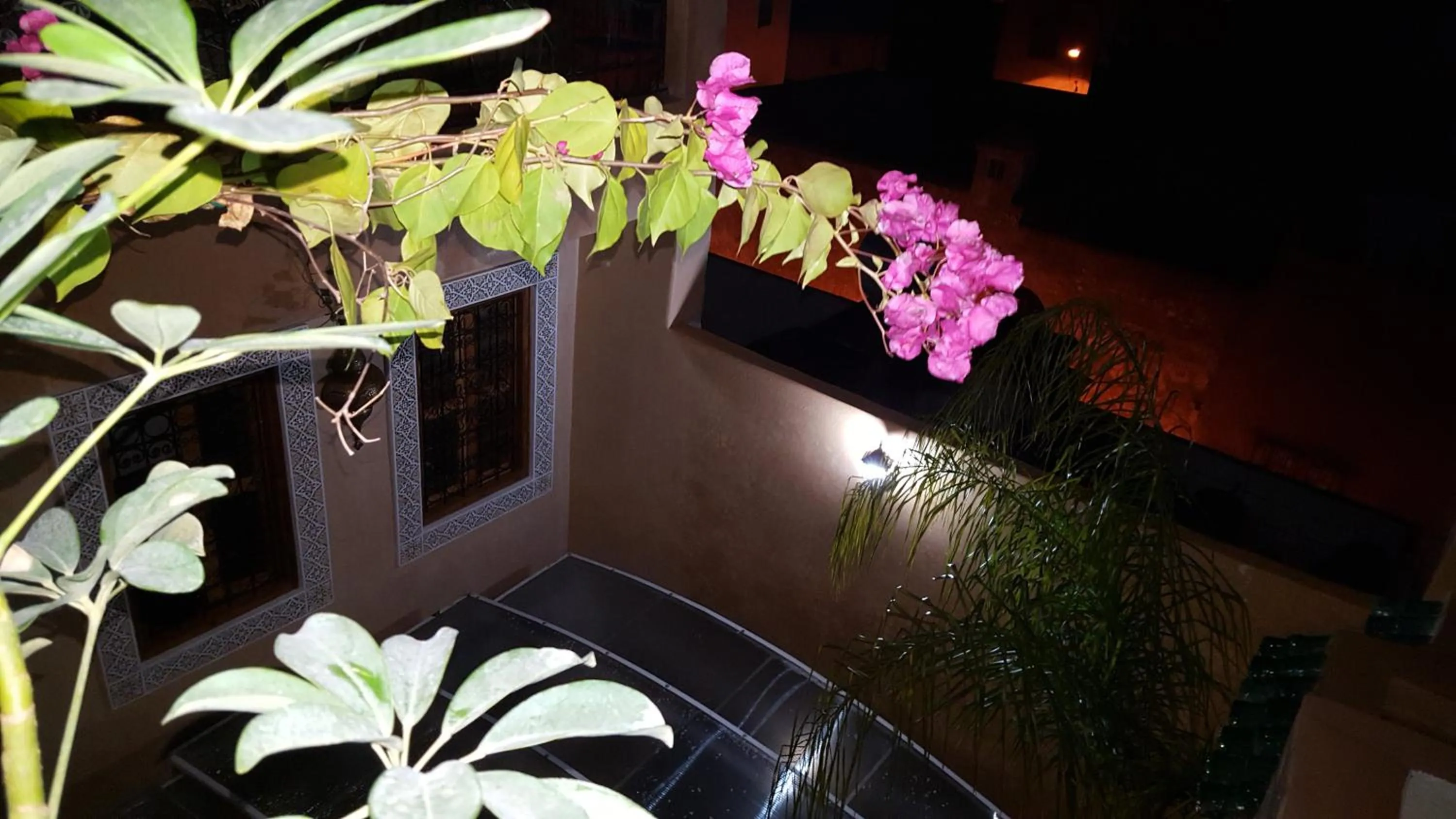 Inner courtyard view in Dar Nour Fes