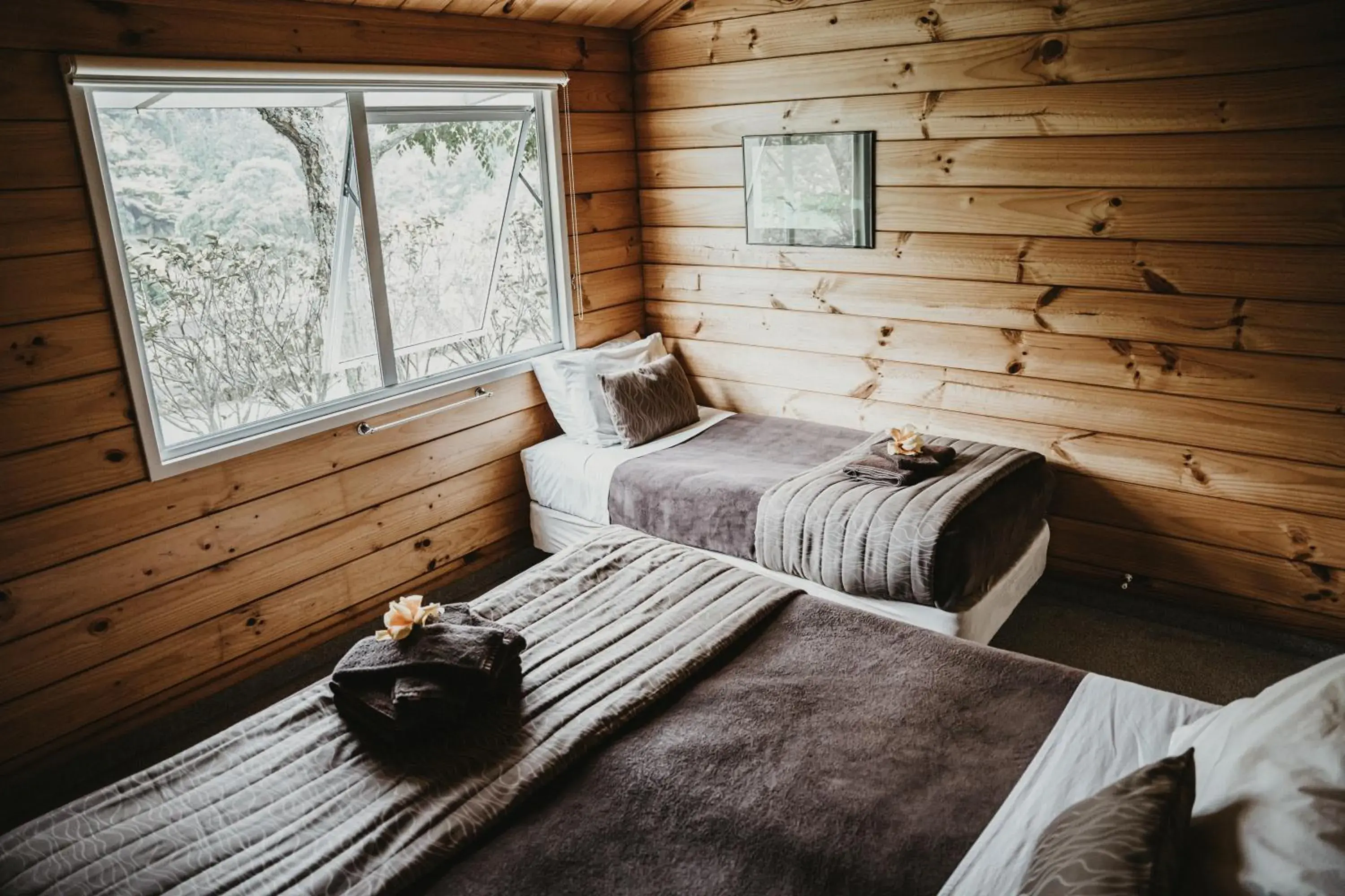 Basic Triple Room with Shared Bathroom in Tatahi Cove Back Packer Basic Triple Room with Shared Bathroom in Tatahi Cove Back Packer