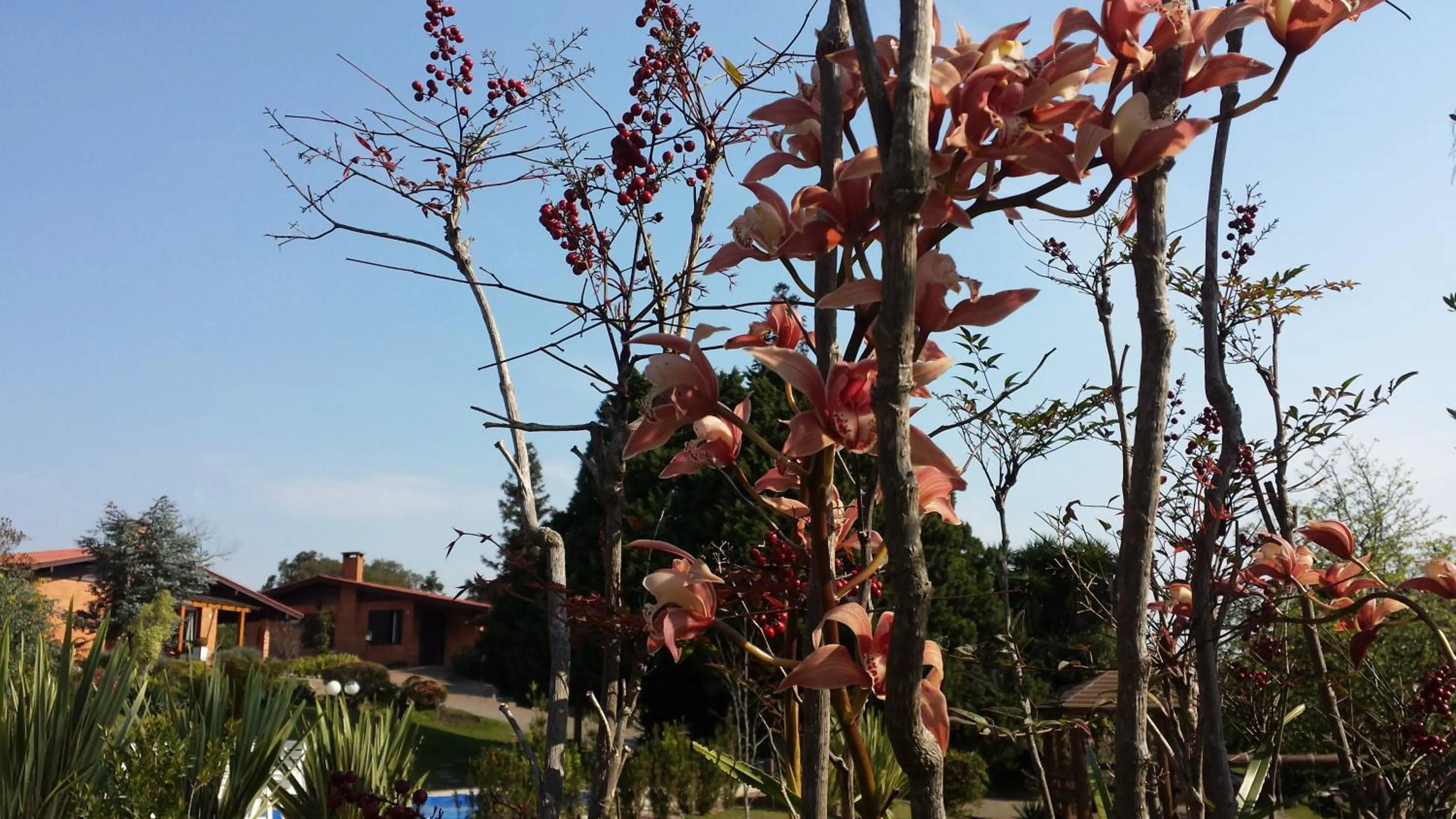 Day in Hotel Canto Verde