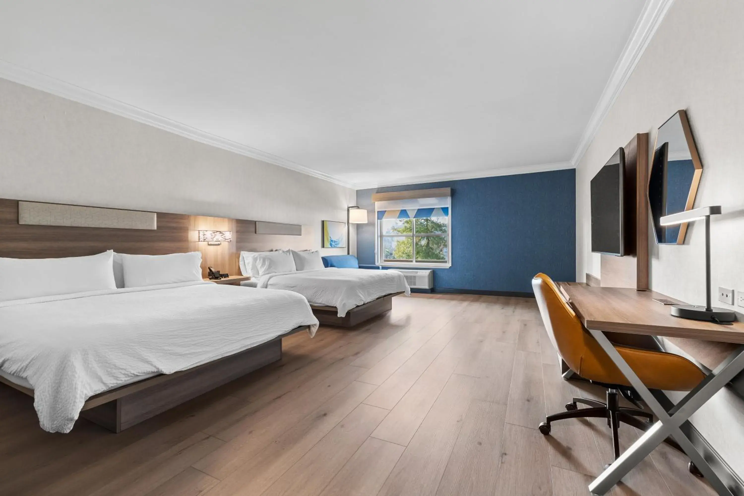 Suite with Two King Beds - single occupancy in Holiday Inn Express Hotel & Suites Santa Cruz by IHG Suite with Two King Beds - single occupancy in Holiday Inn Express Hotel & Suites Santa Cruz by IHG