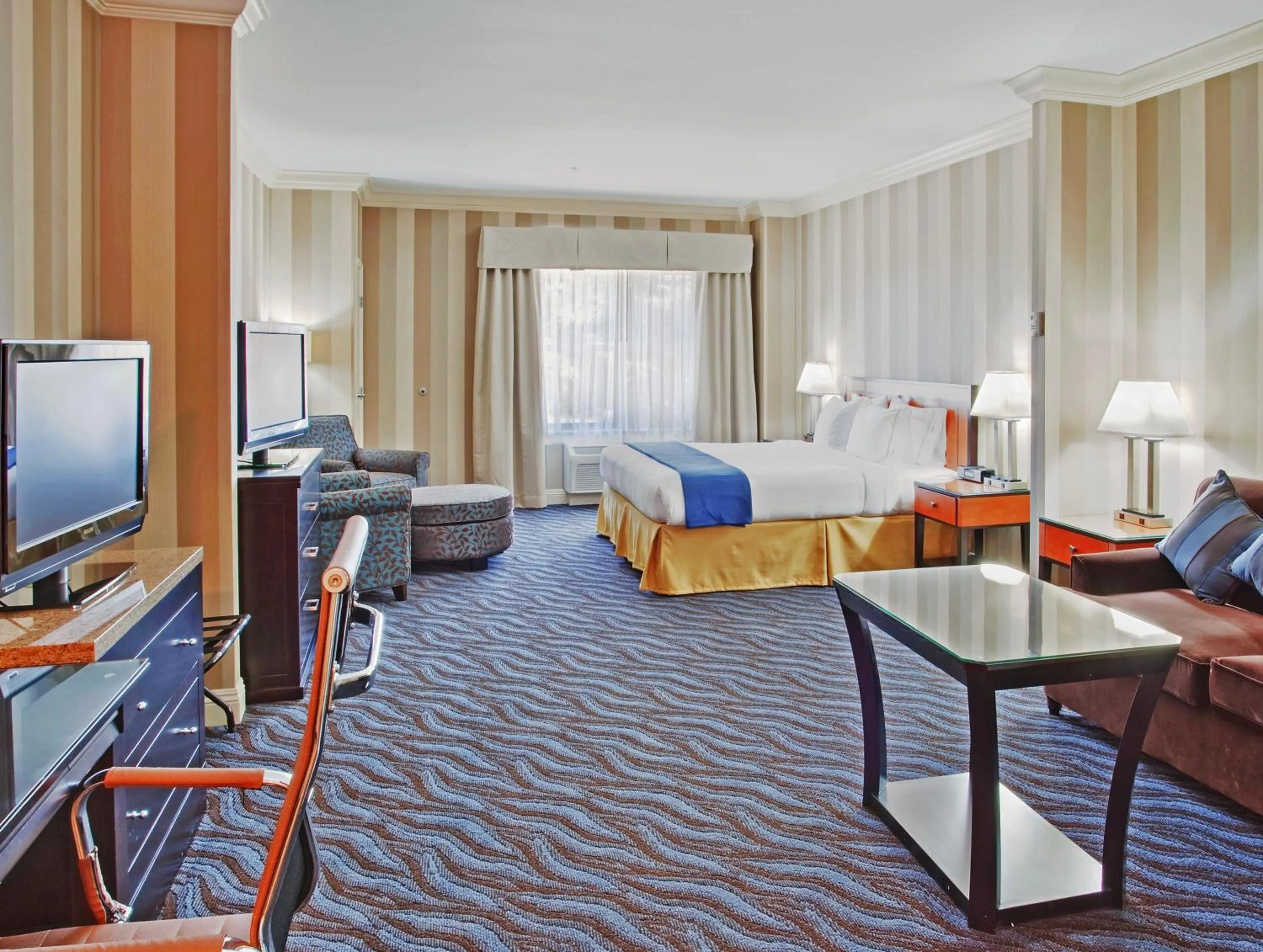 Photo of the whole room in Holiday Inn Express Hotel & Suites Santa Cruz by IHG
