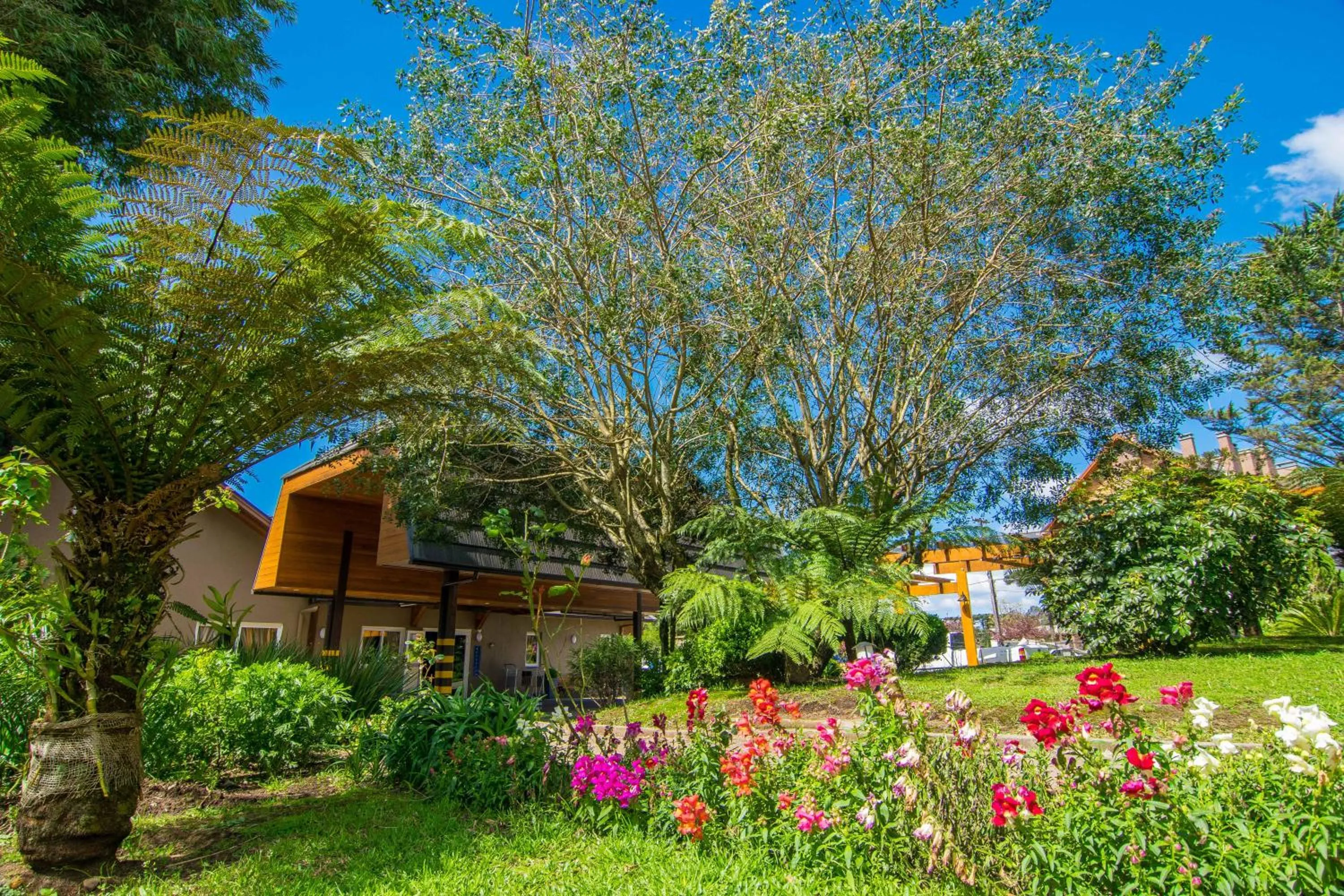 Natural landscape in Hotel Fioreze Quero Quero