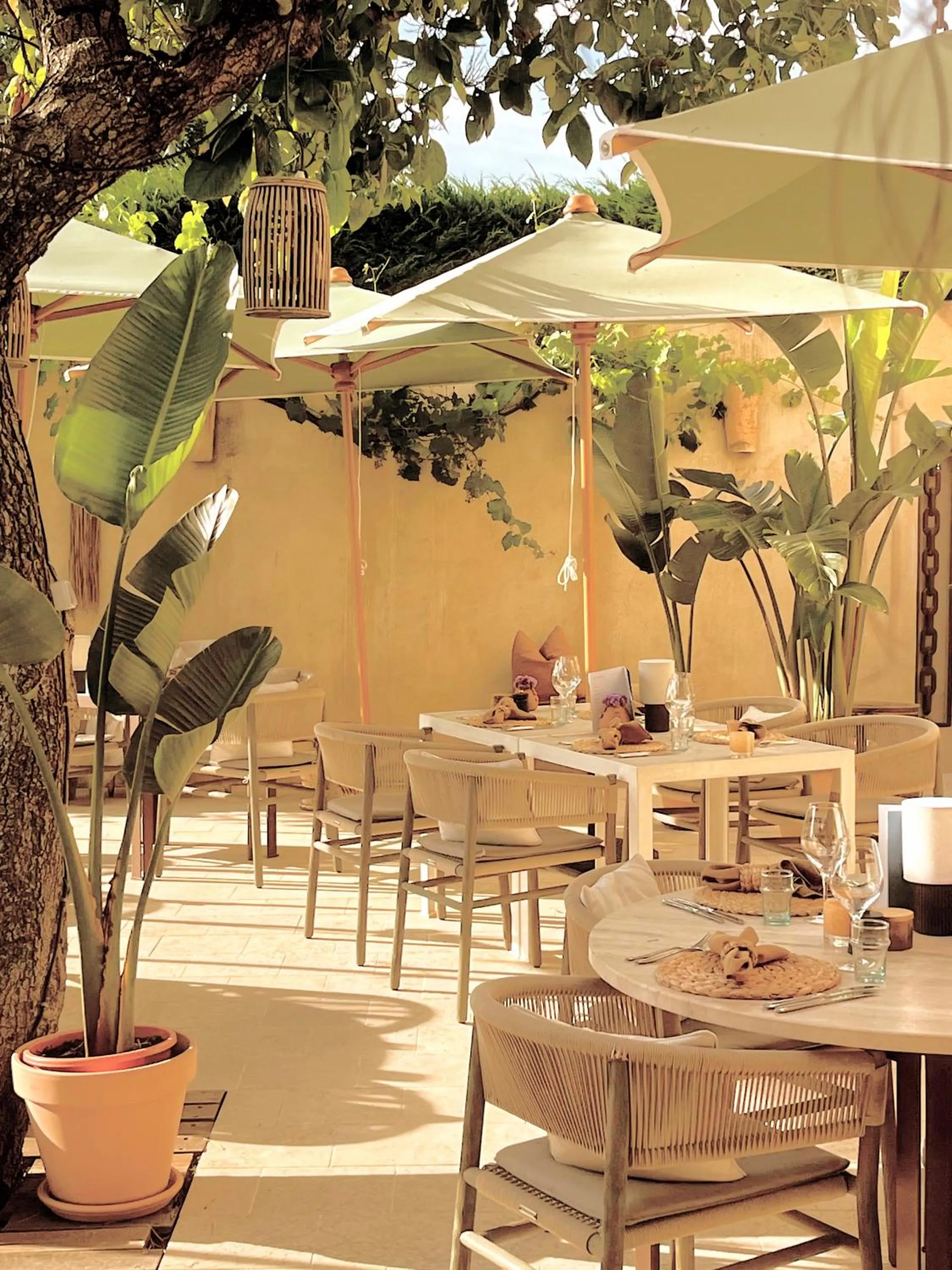 Restaurant/places to eat in Toile Blanche