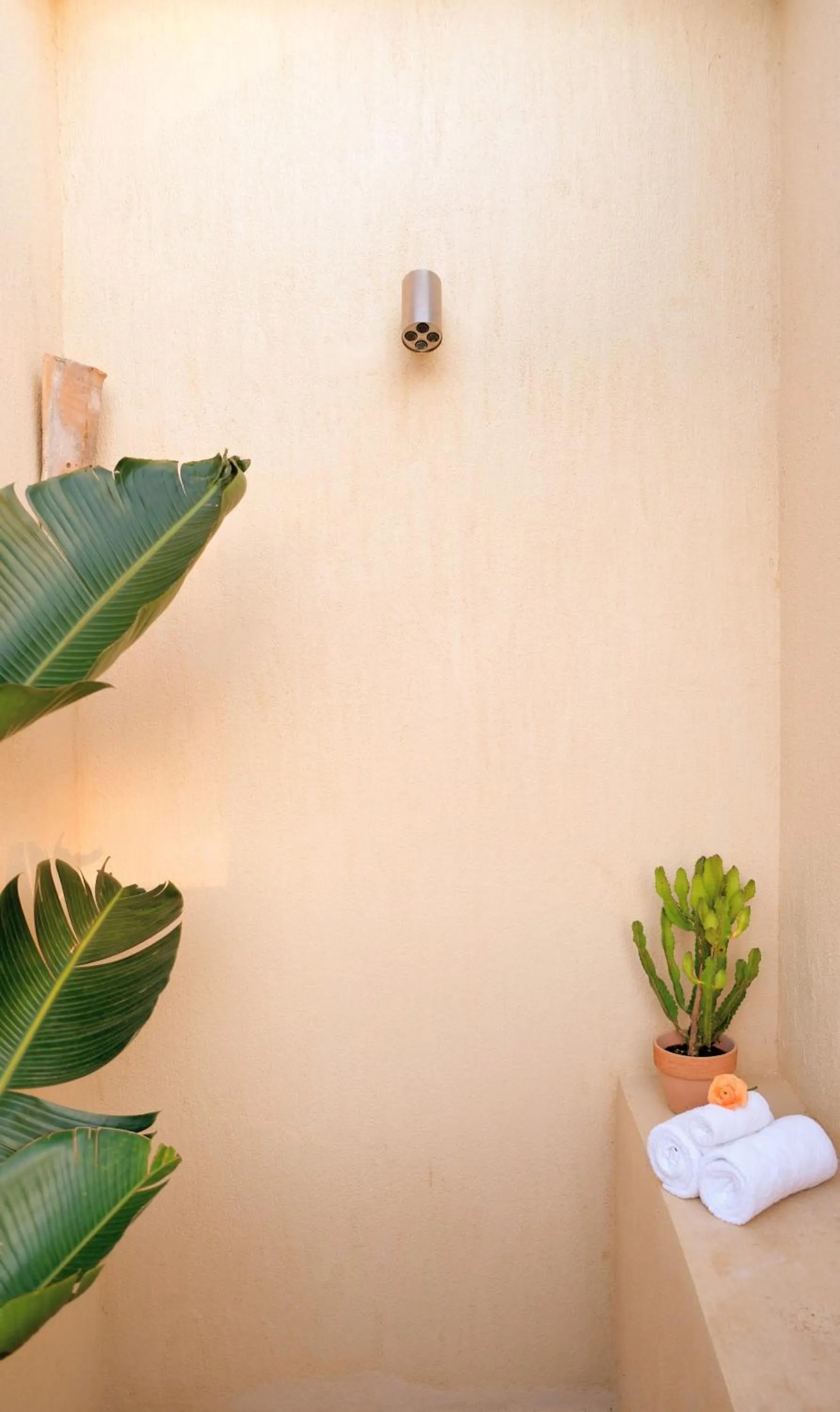 Shower in Toile Blanche