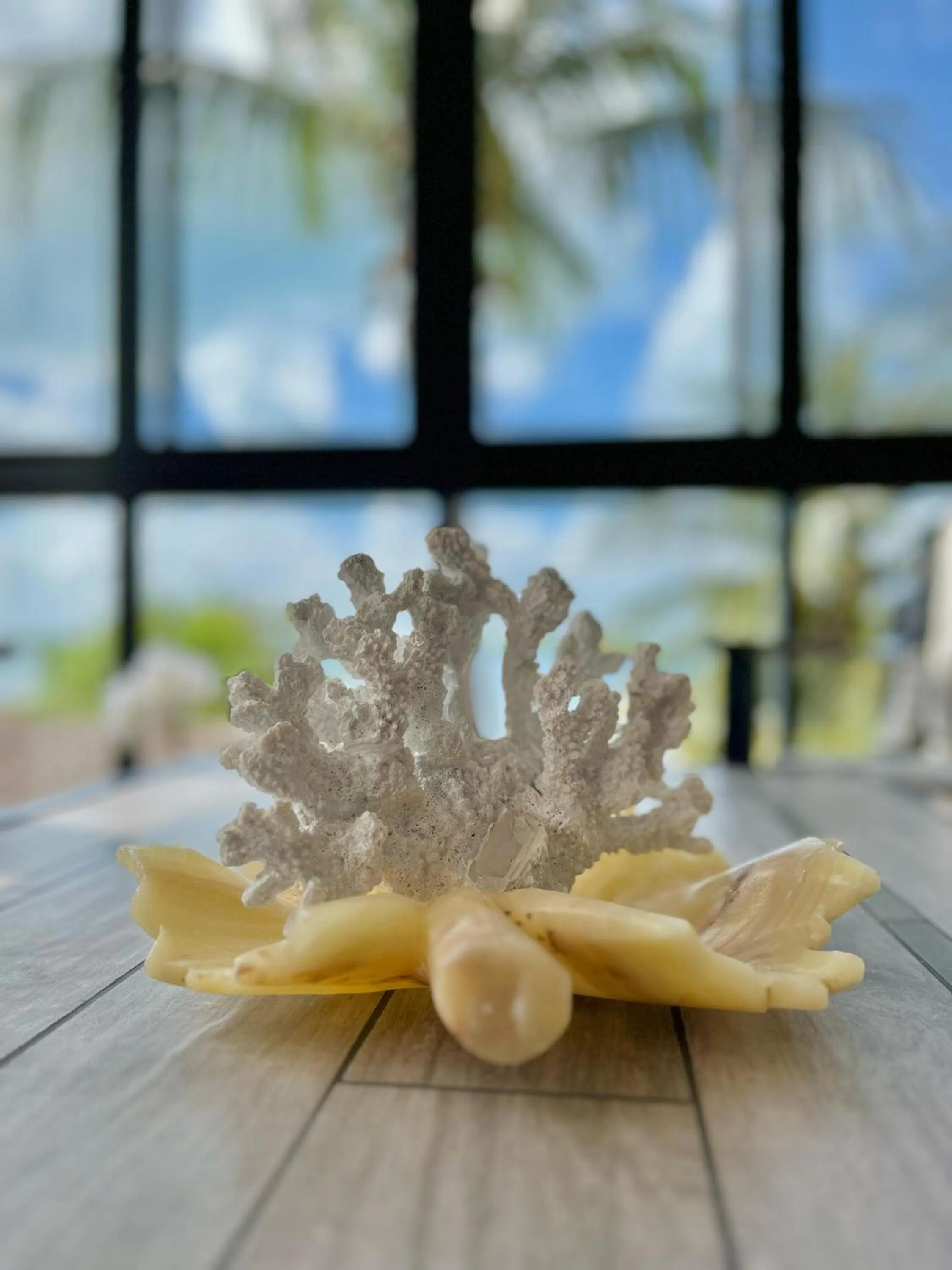 Living room in Bahia Tolok