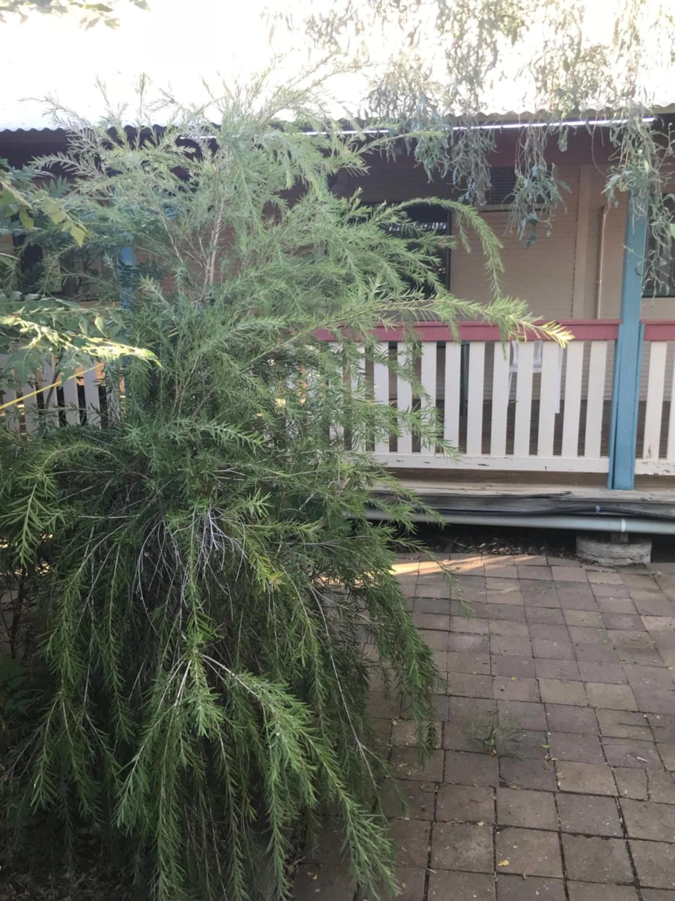 Outback Adventures Backpackers