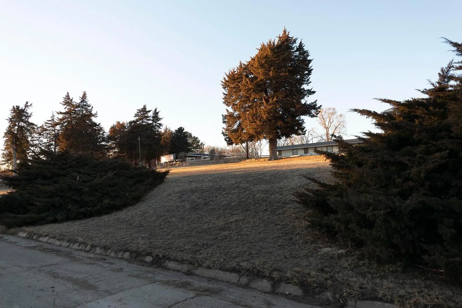 Natural landscape in Cedar Inn