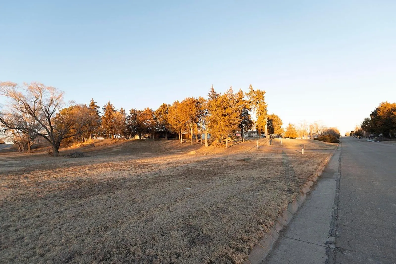 Natural landscape in Cedar Inn