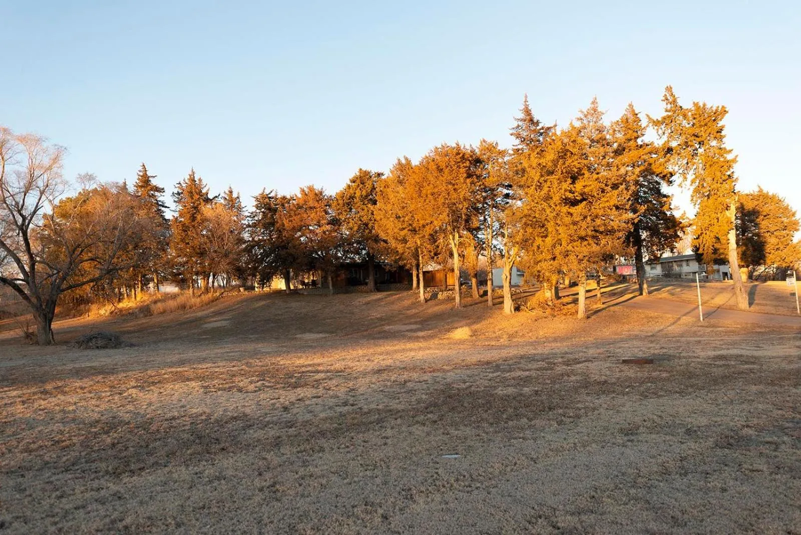 Natural landscape in Cedar Inn