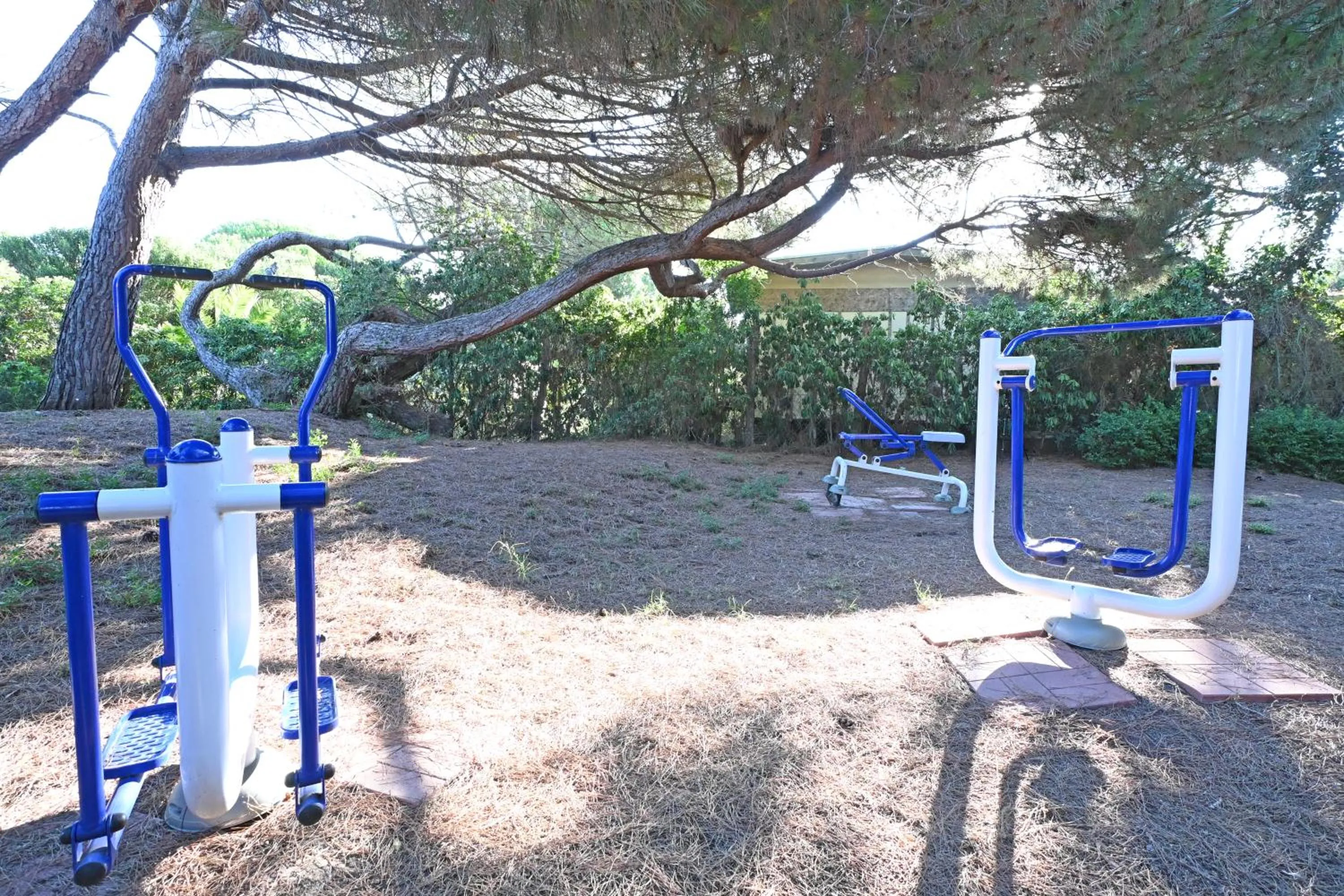 Natural landscape in Hotel Paradiso Verde