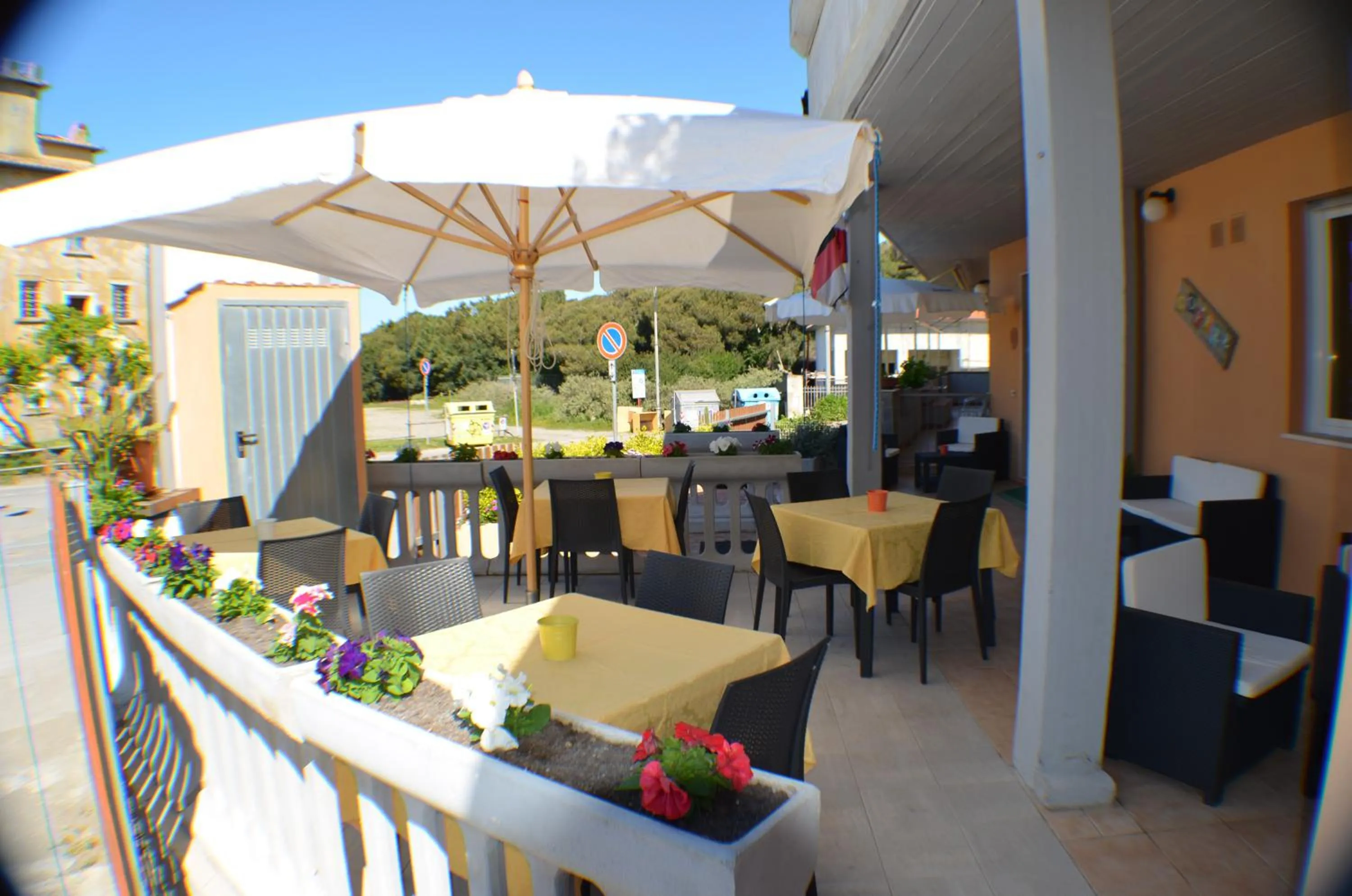 Lounge or bar in Hotel Paradiso Verde