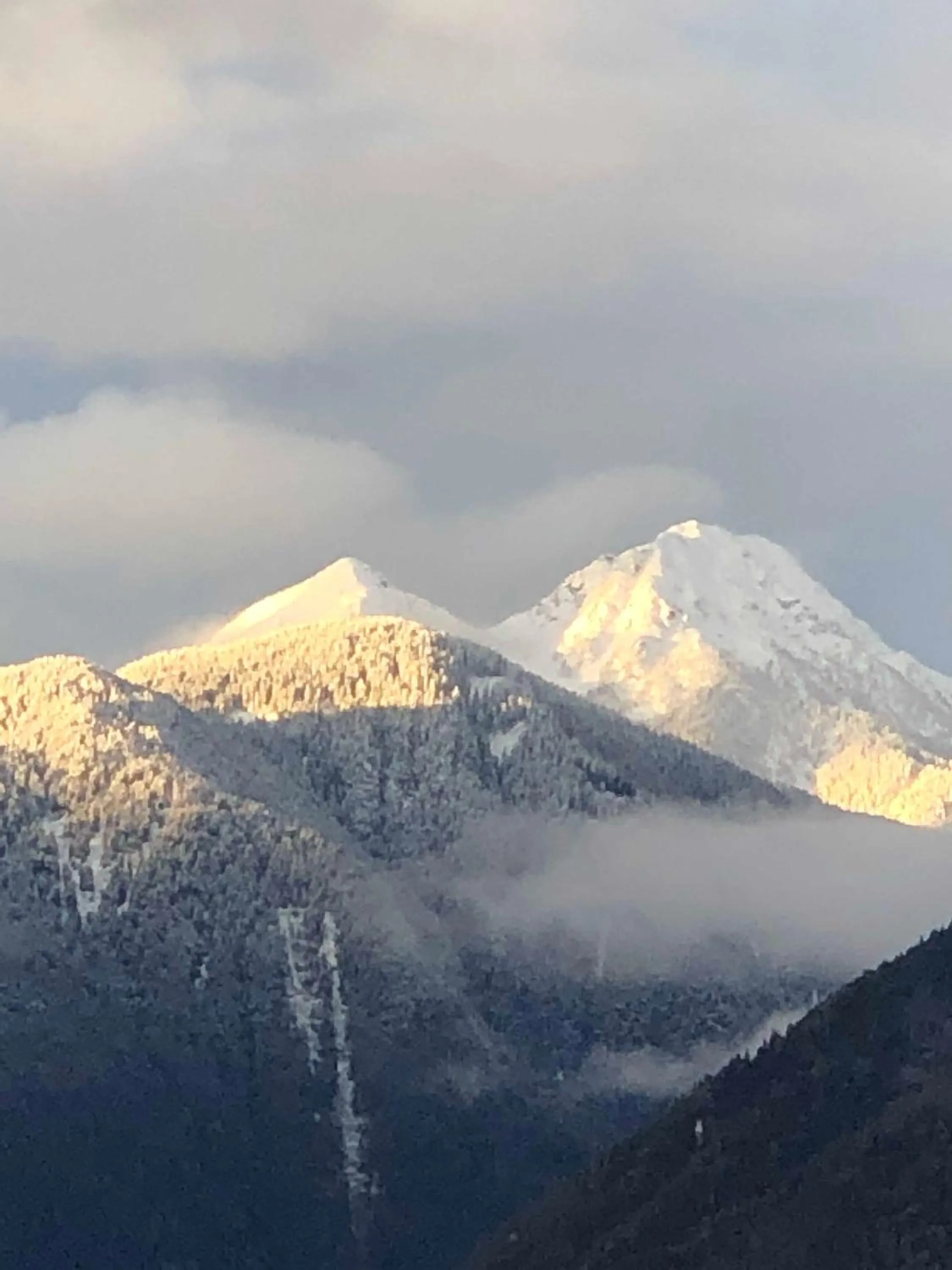 Natural landscape in Frühstücks-Hotel Olympia