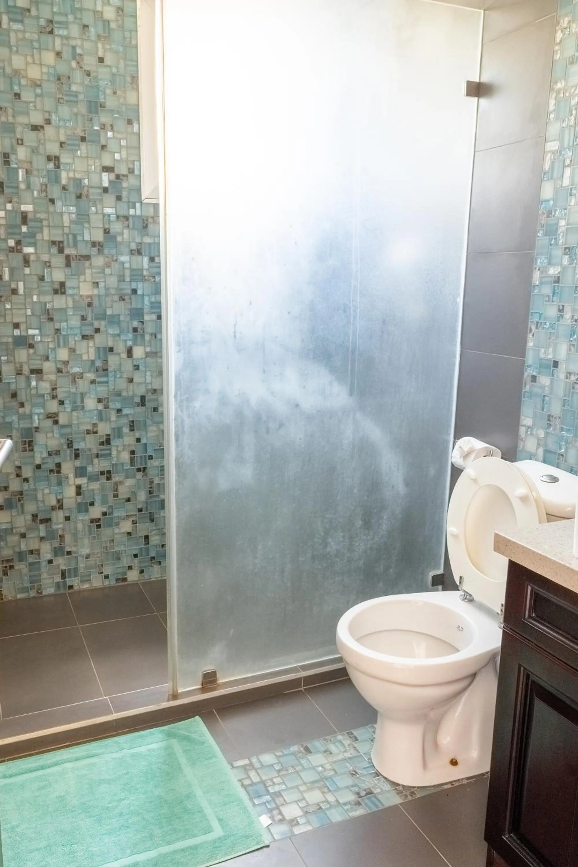 Toilet in Queens Chateau Boutique Villa