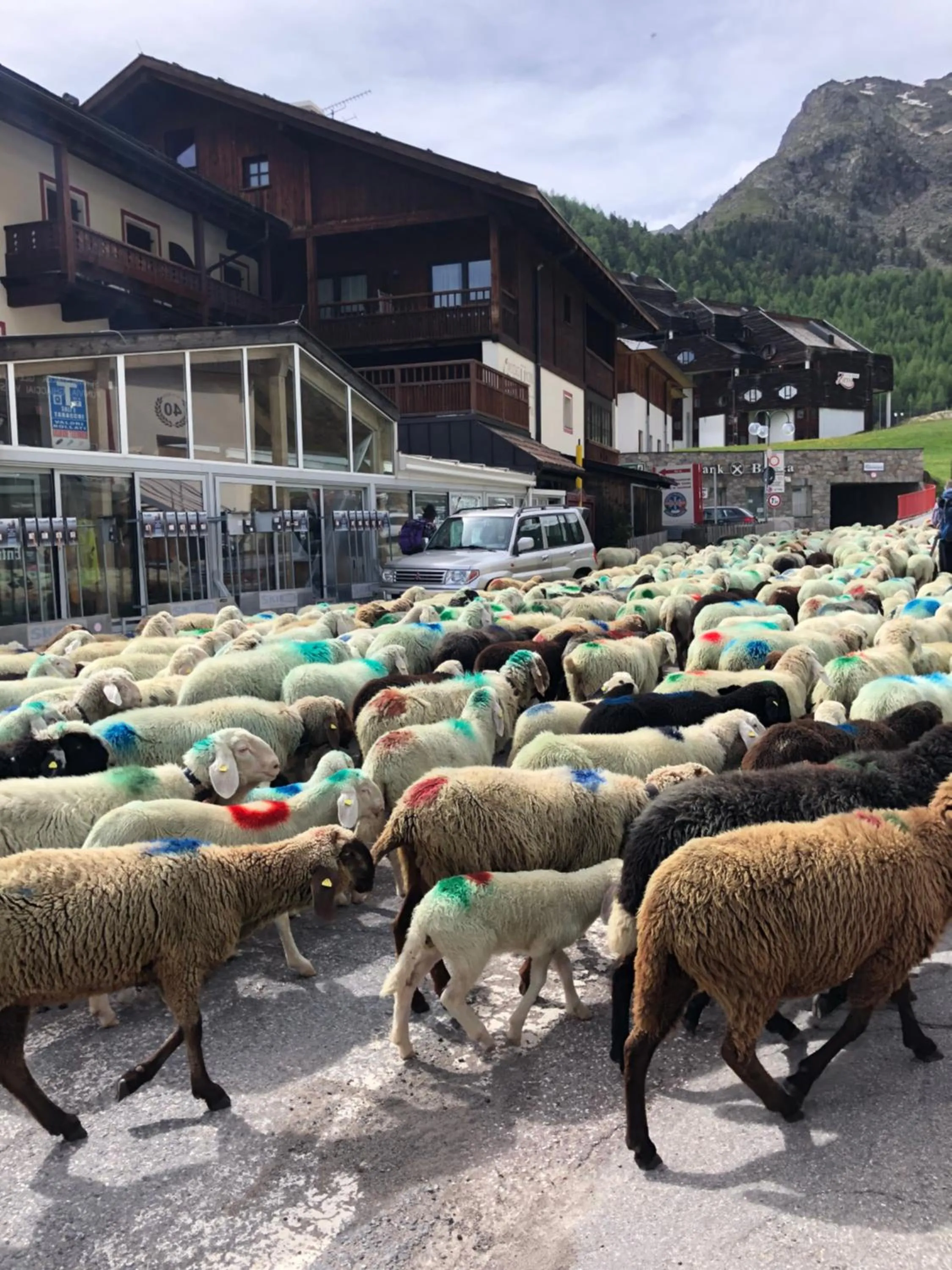 Summer in Piccolo Hotel Gurschler