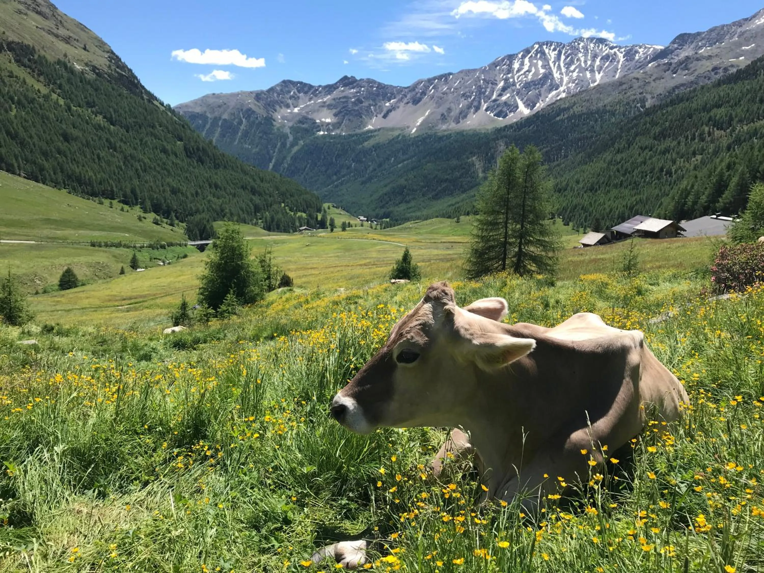 Staff in Piccolo Hotel Gurschler