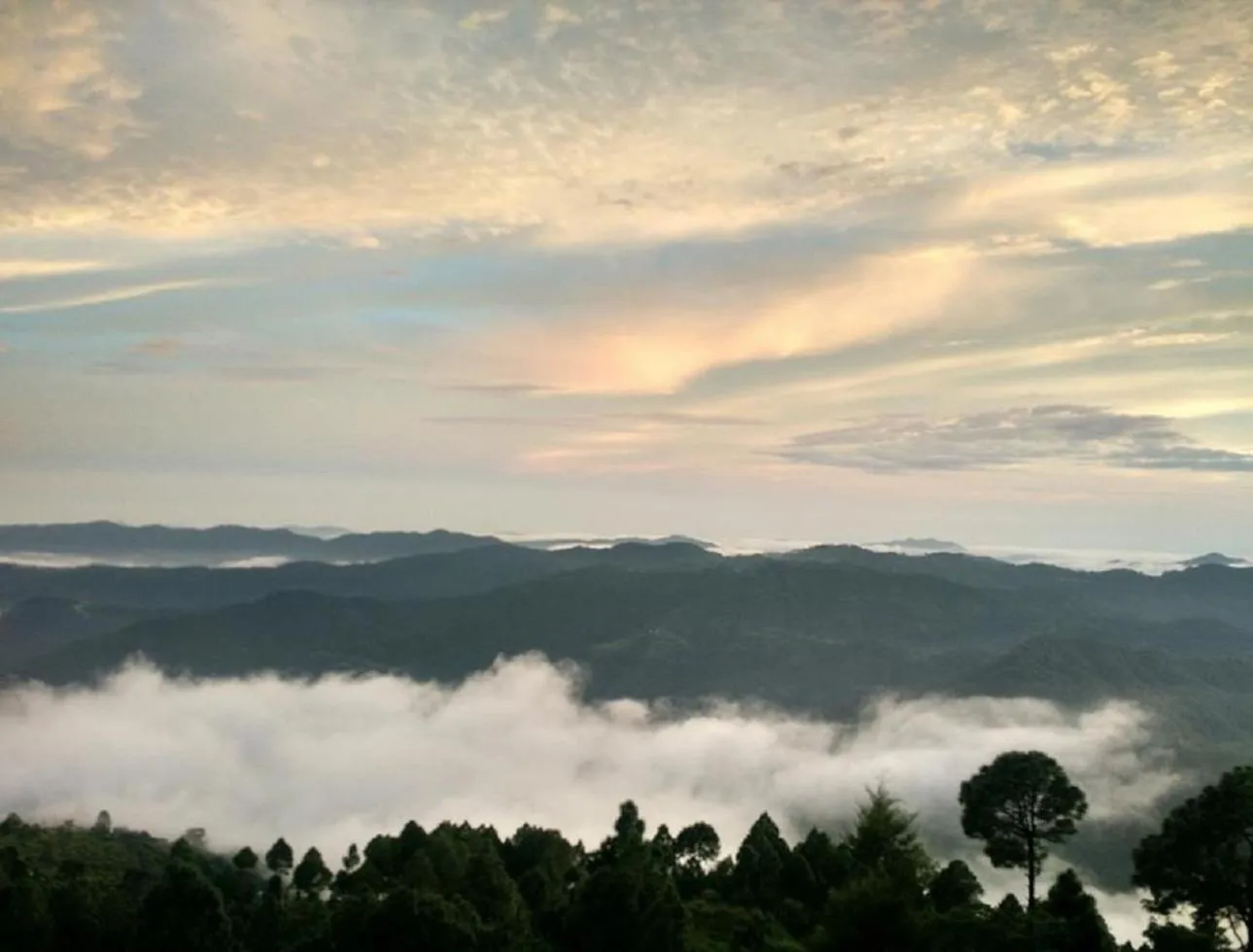 View (from property/room) in ECKO Kasang Regency Hill Resort