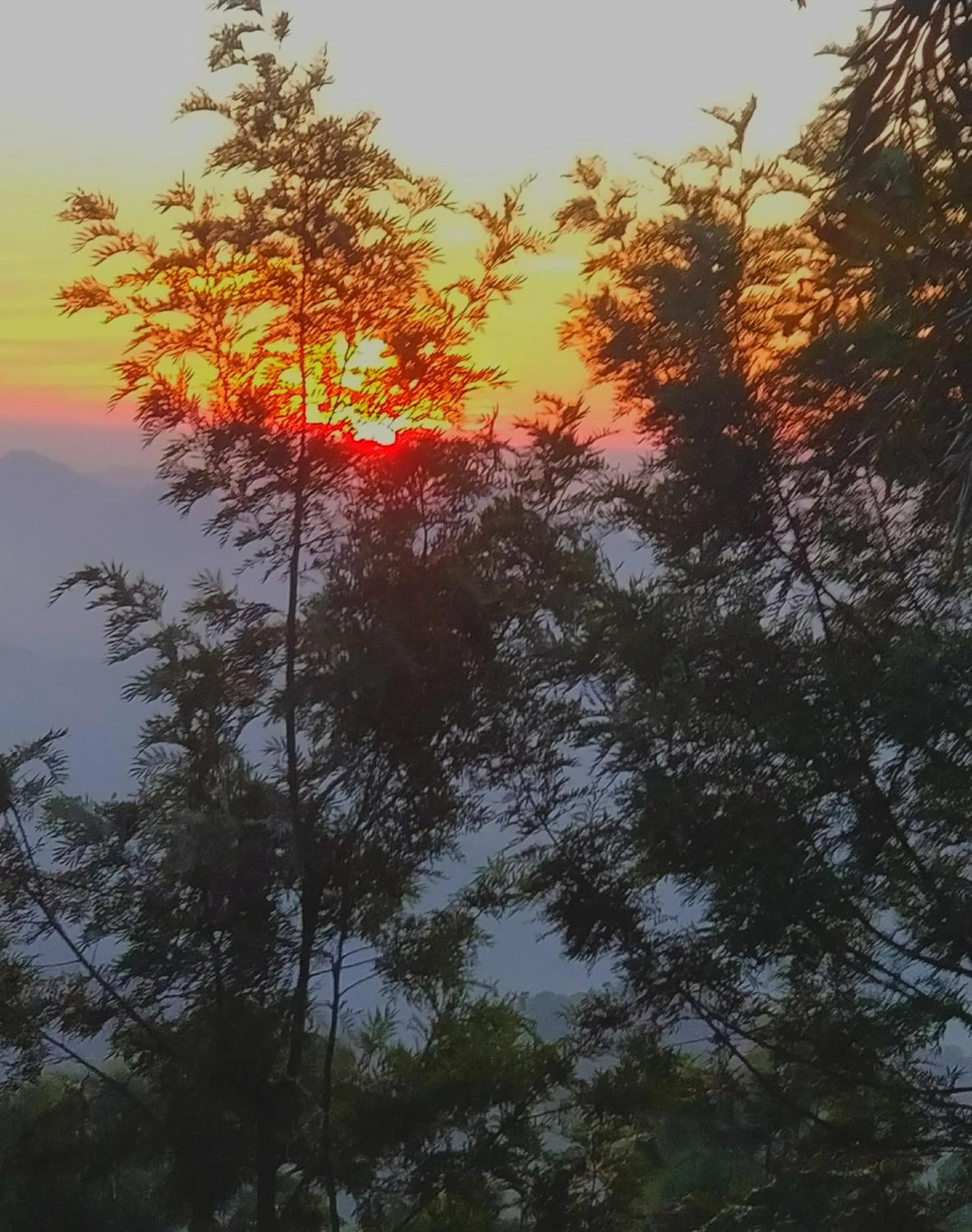 Mountain view in ECKO Kasang Regency Hill Resort