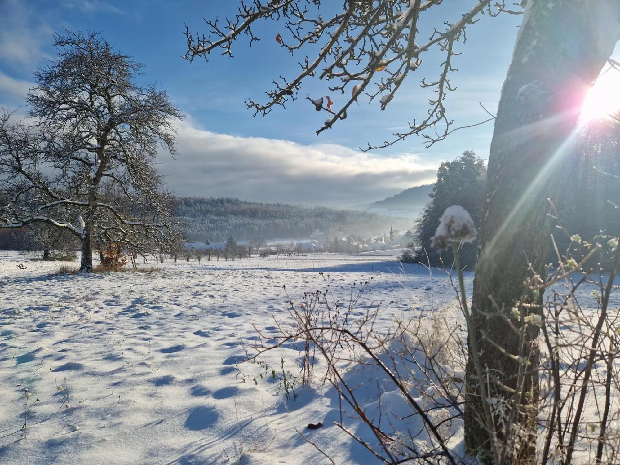 Nearby landmark in Hotel Platzhirsch